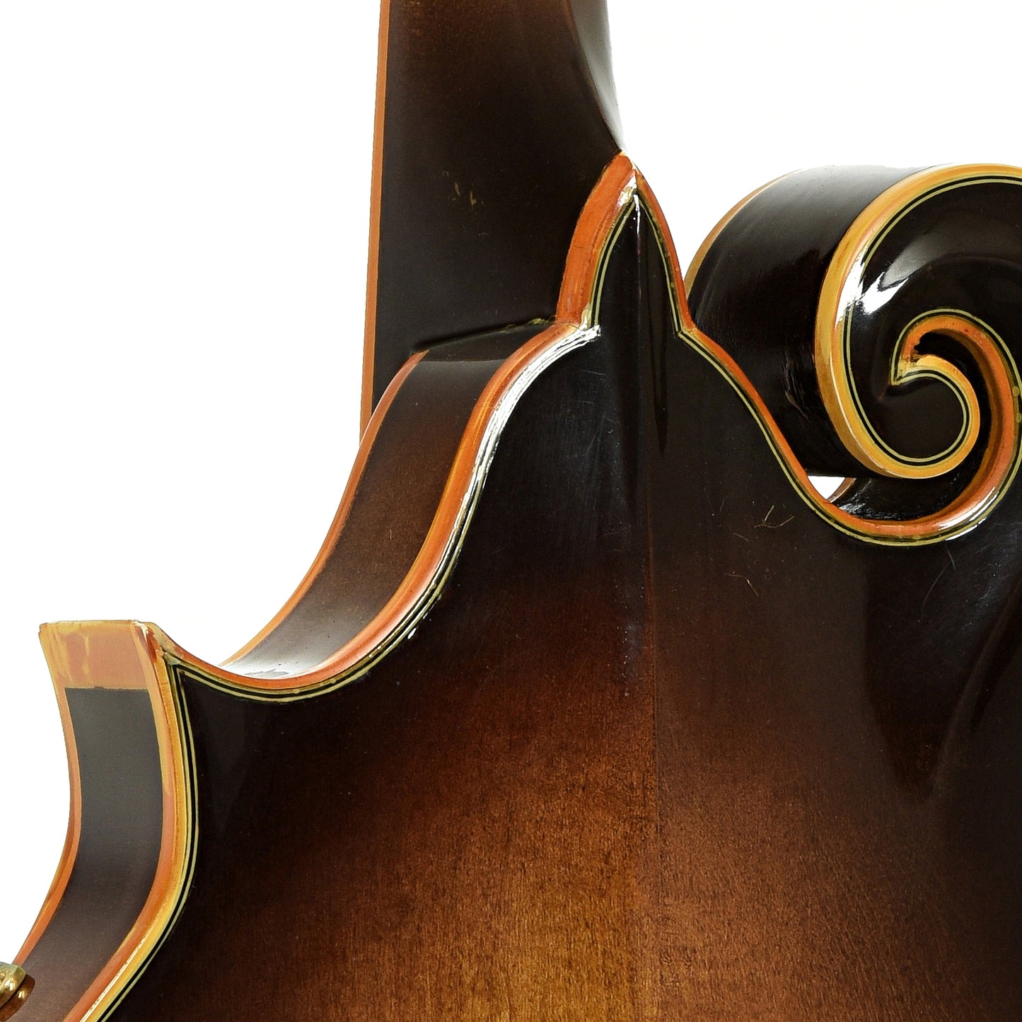 Neck joint of Washburn M-5S F-Style Mandolin  