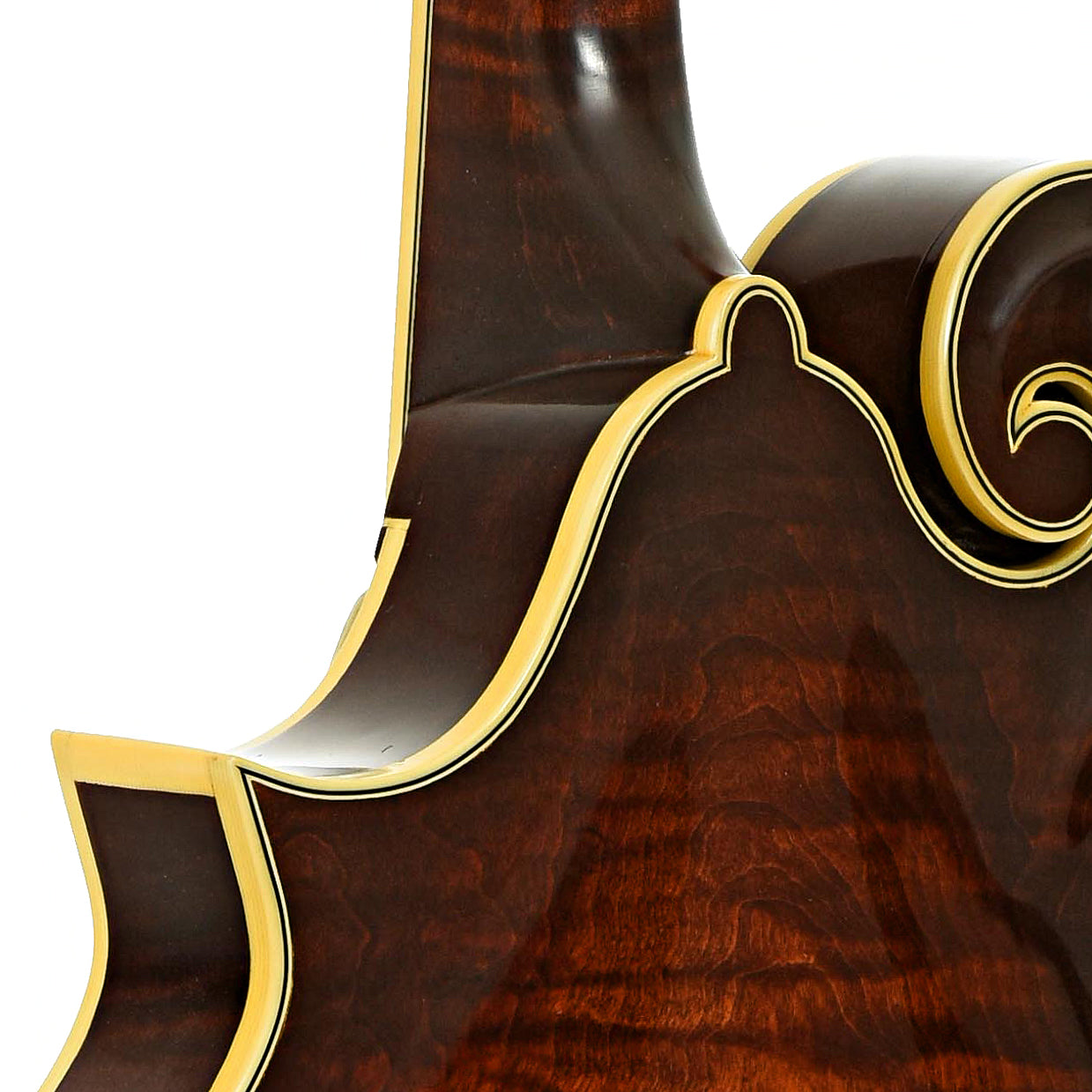 Neck joint of Clark F-5 Mandolin 