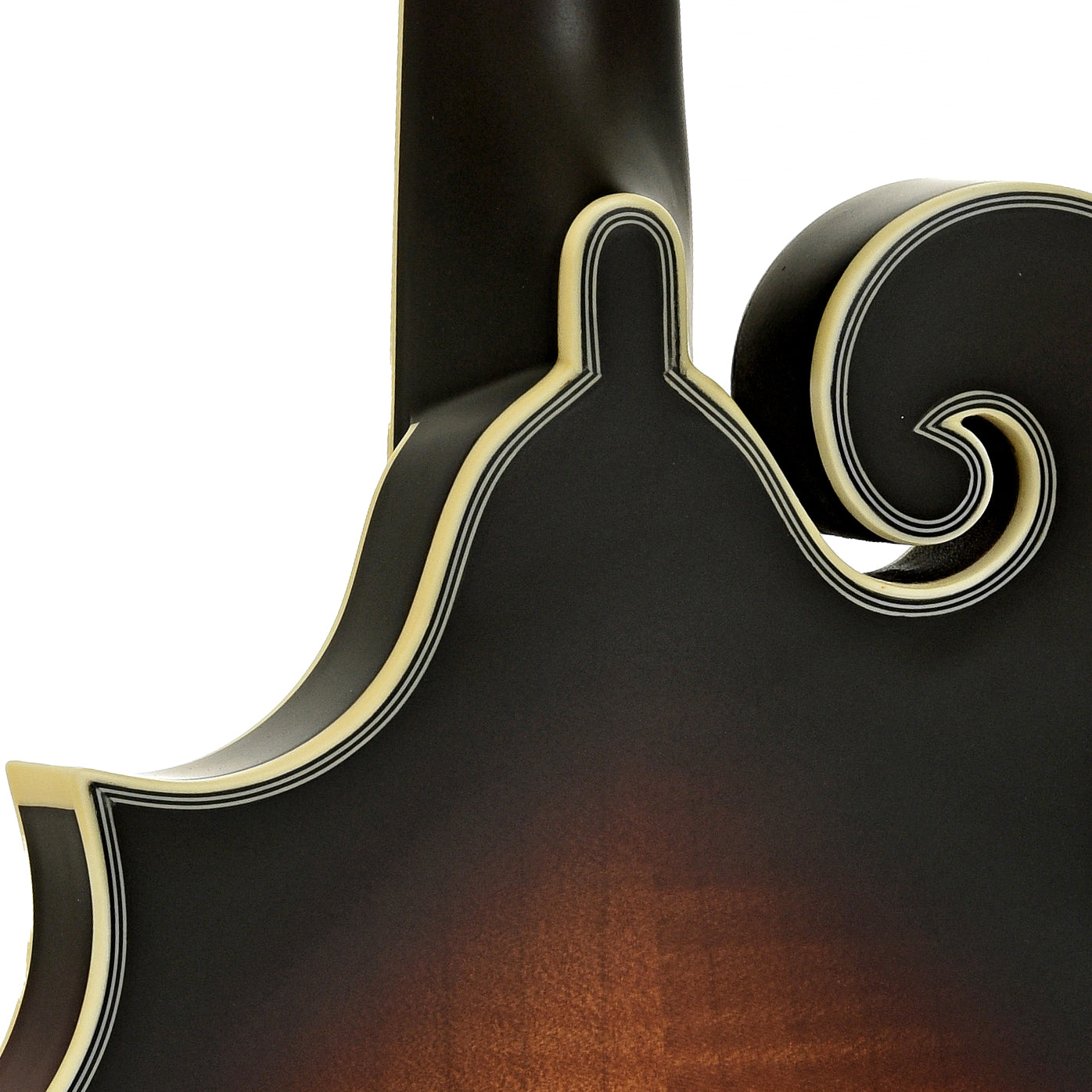 Neck joint of Washburn M3SE F-Style Acoustic-Electric Mandolin