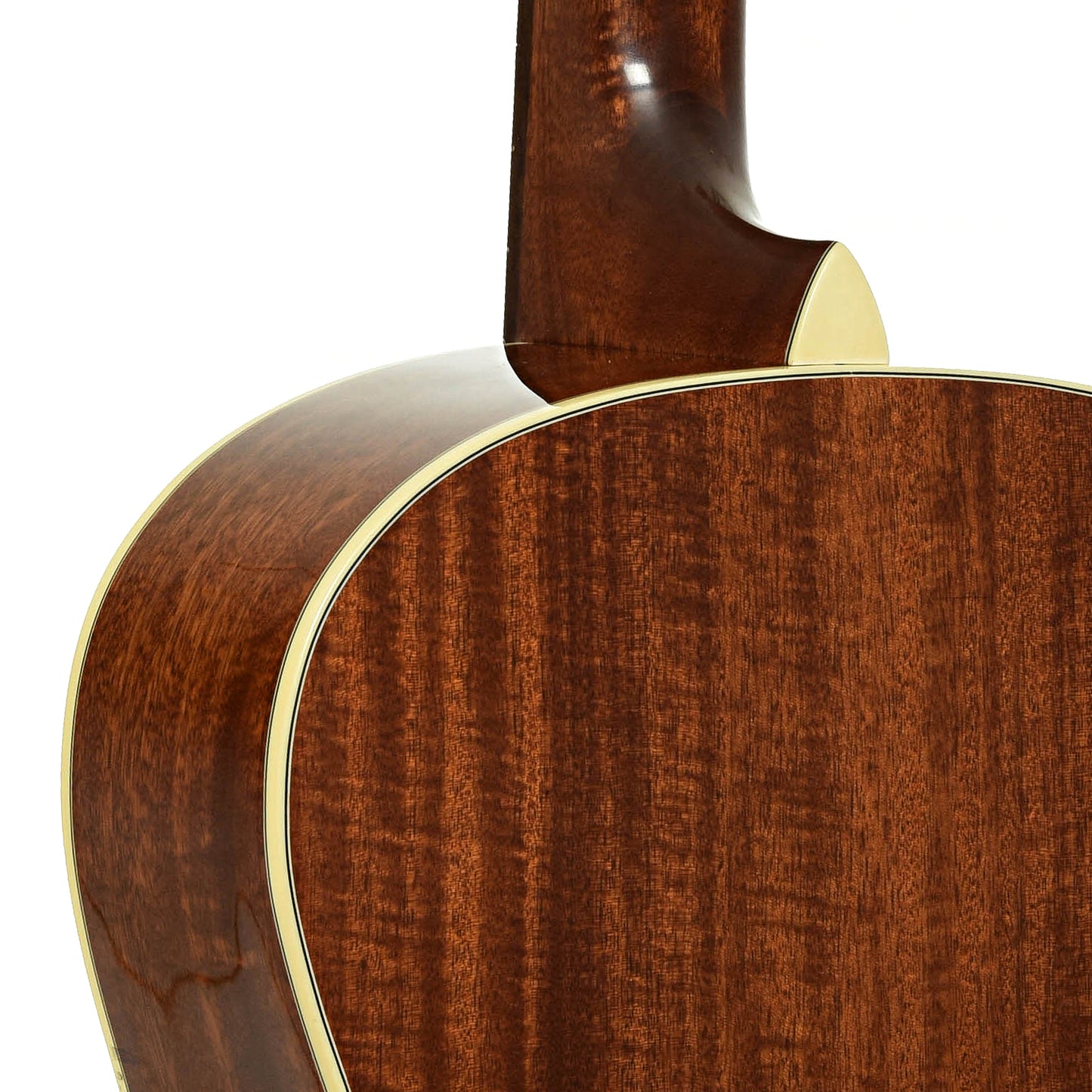 Neck joint of Eastman E10 OO-12F-M Acoustic Guitar 