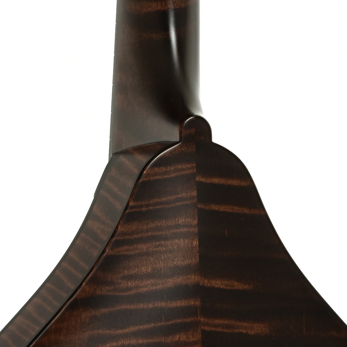 Neck joint of Collings MT O Oval Hole A-Style Mandolin
