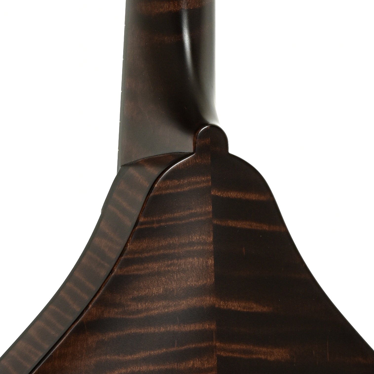 Neck joint of Collings MT O Oval Hole A-Style Mandolin
