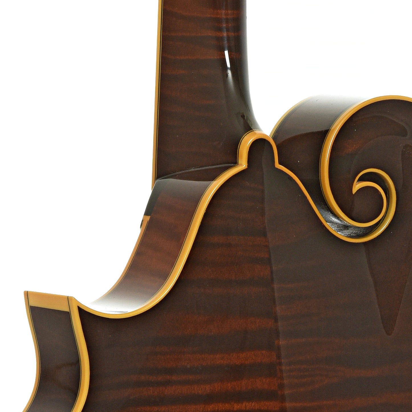 Neck joint of Collings MF-5 Varnish Mandolin 