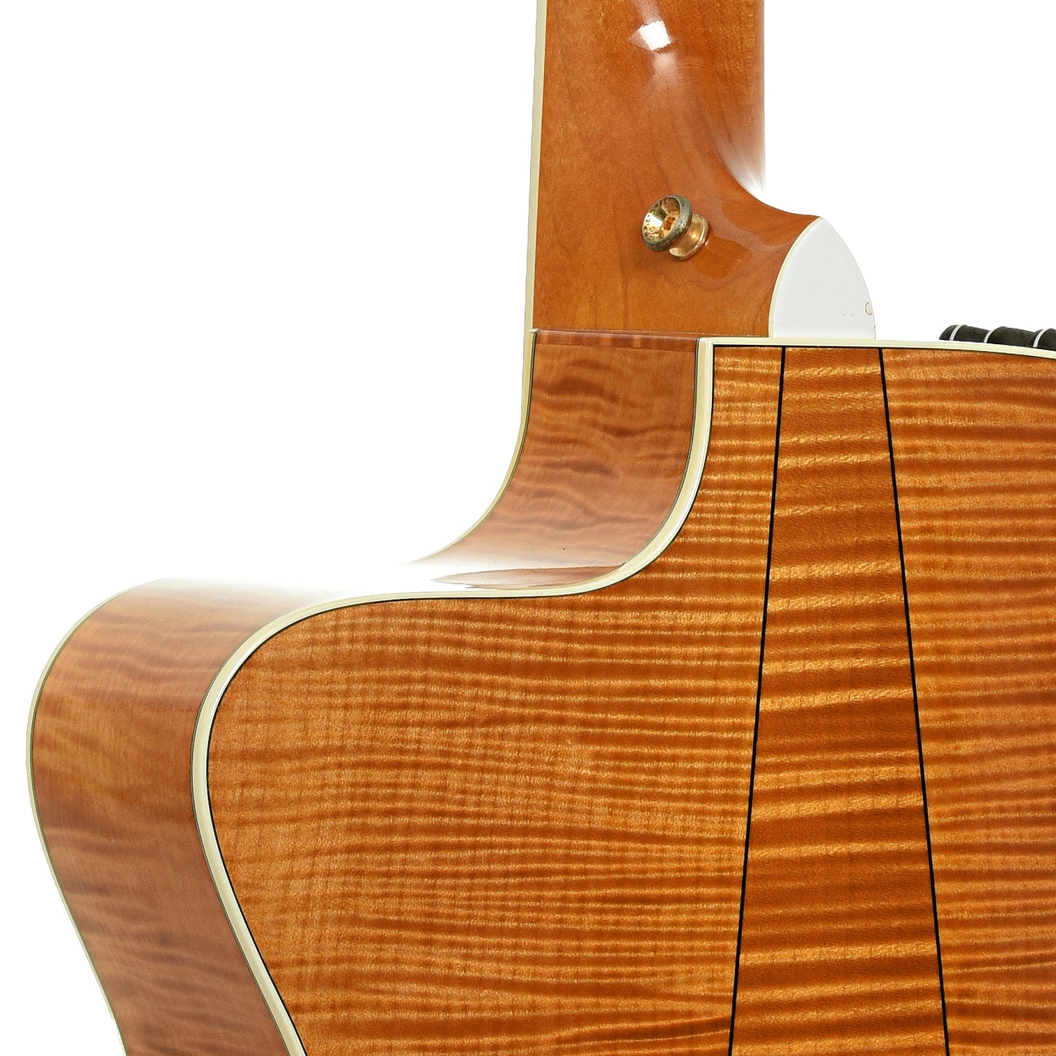 Neck joint of Taylor 655-CE 12-String Acoustic-Electric Guitar 