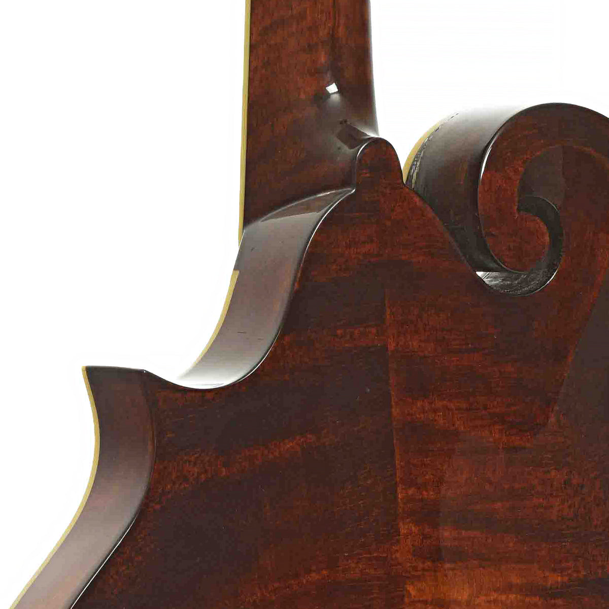 Heel of Eastman MD-515