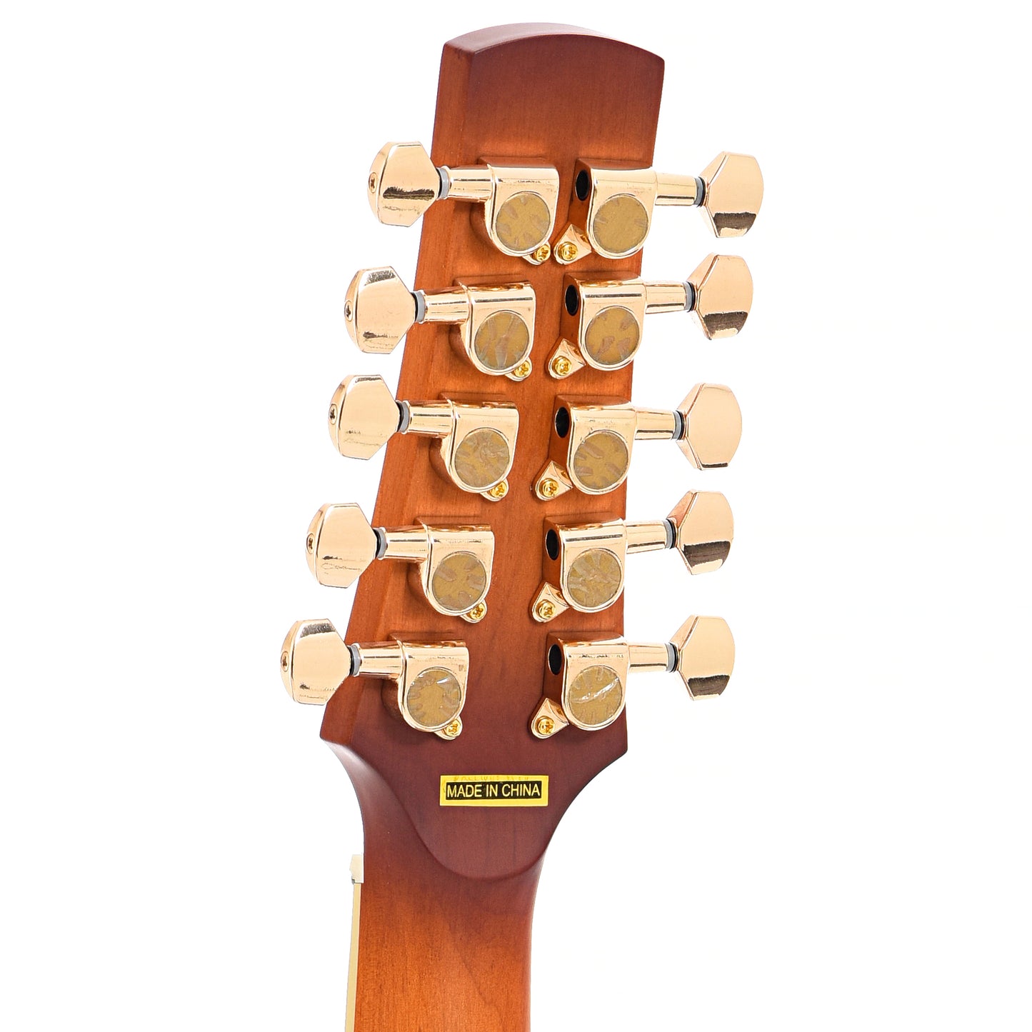 Back headstock of Gold Tone F-10 10-String Mandolin 
