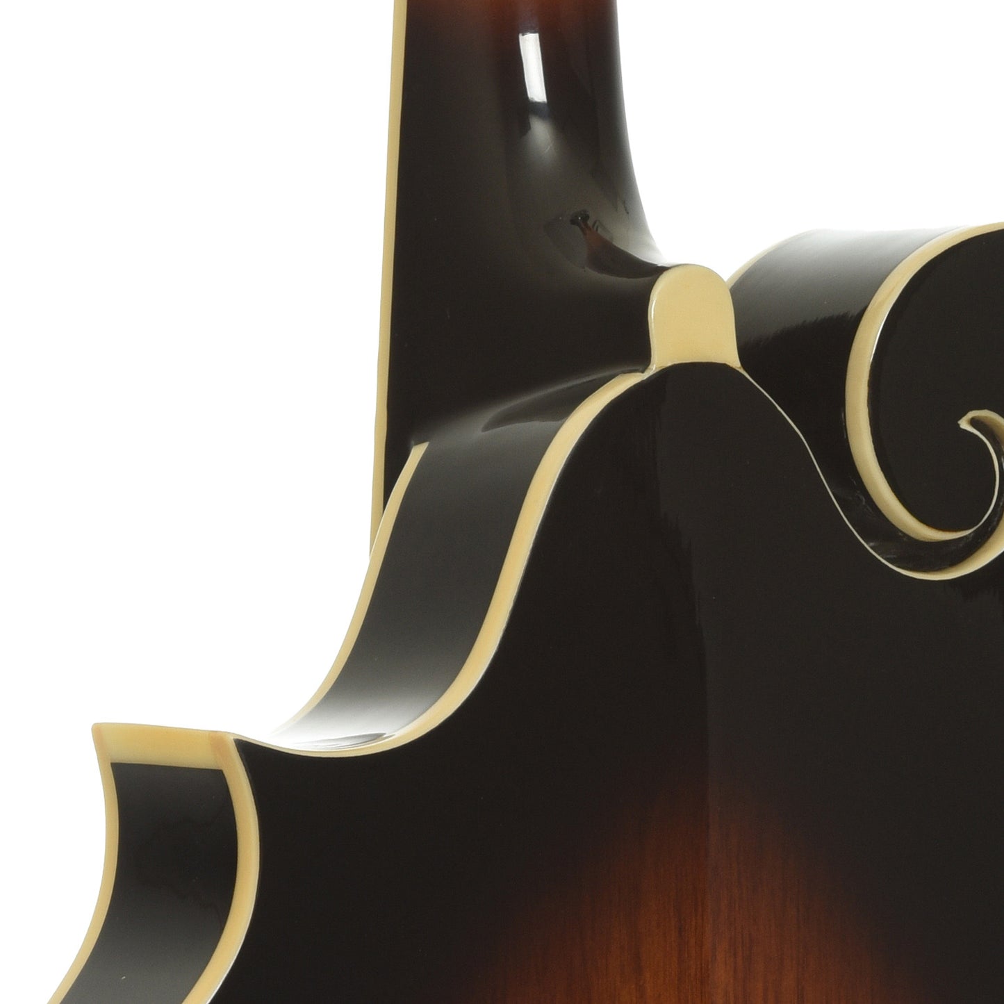 Gold Tone GM-35 F-Style Mandolin & Case
