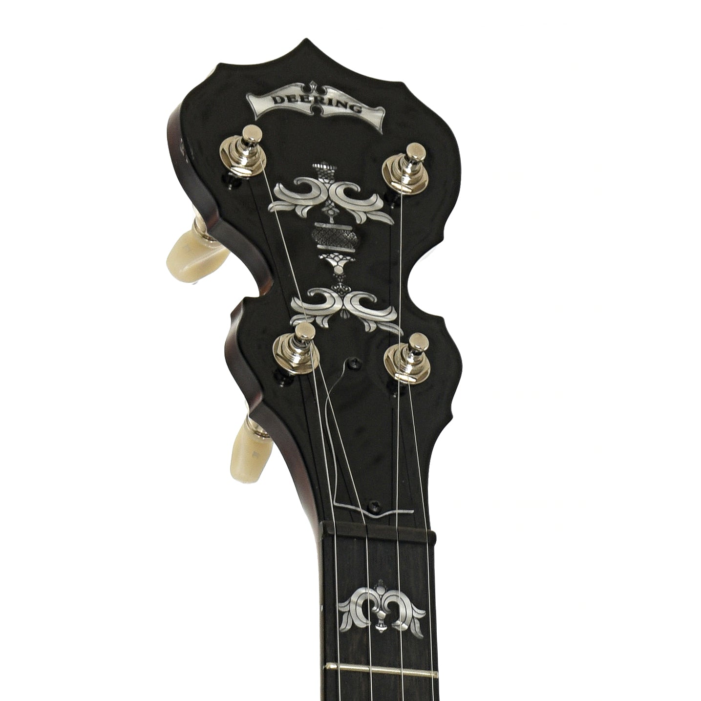 Headstock of Deering Eagle II Resonator Banjo 