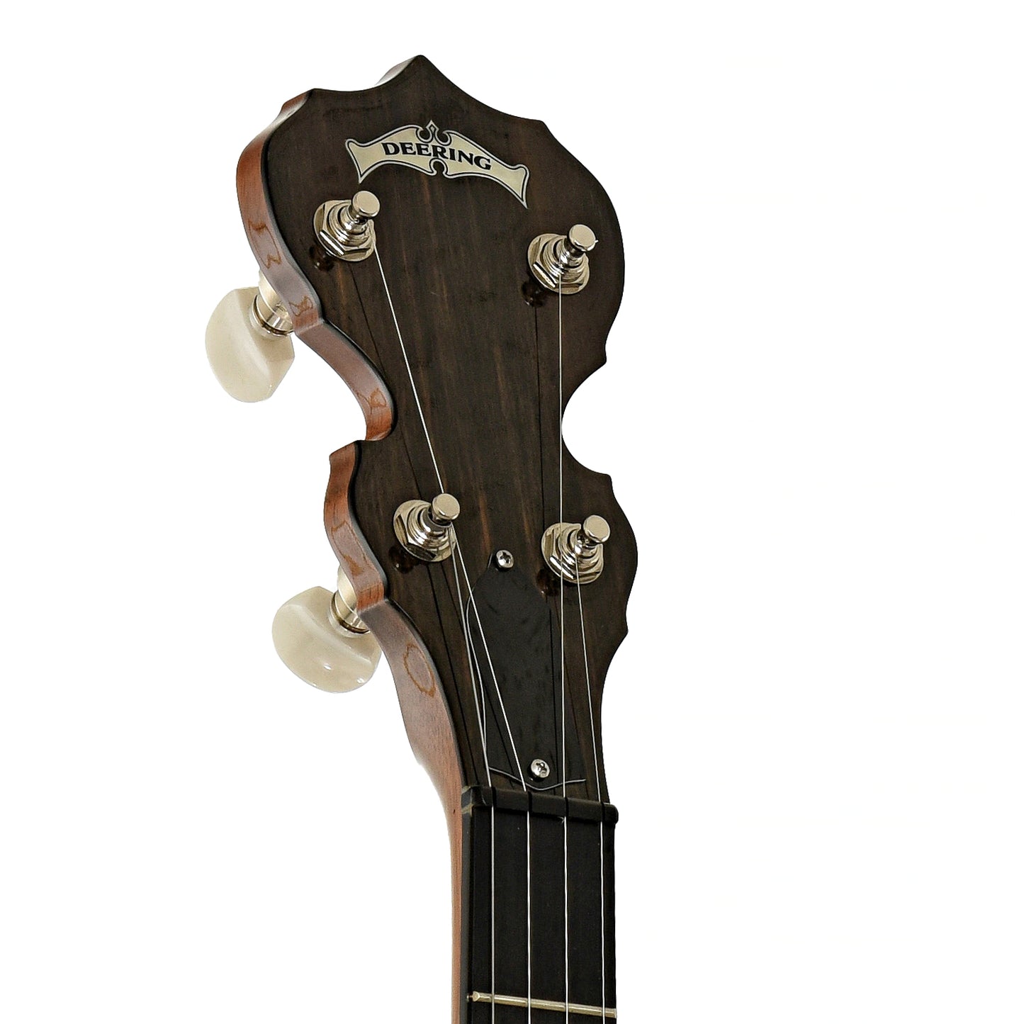 Headstock of Deering Deluxe Resonator Banjo