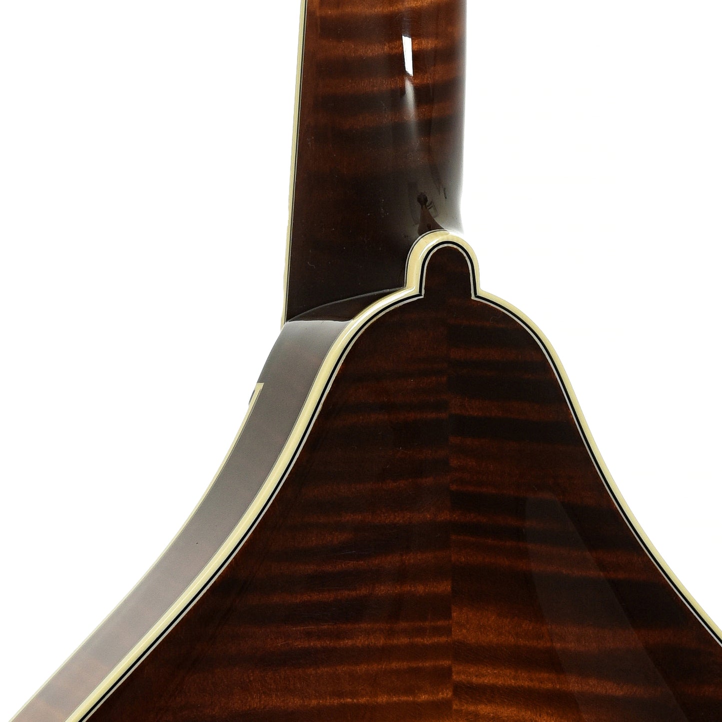 Neck joint of Collings MT2 O A-Style Oval Hole Mandolin 