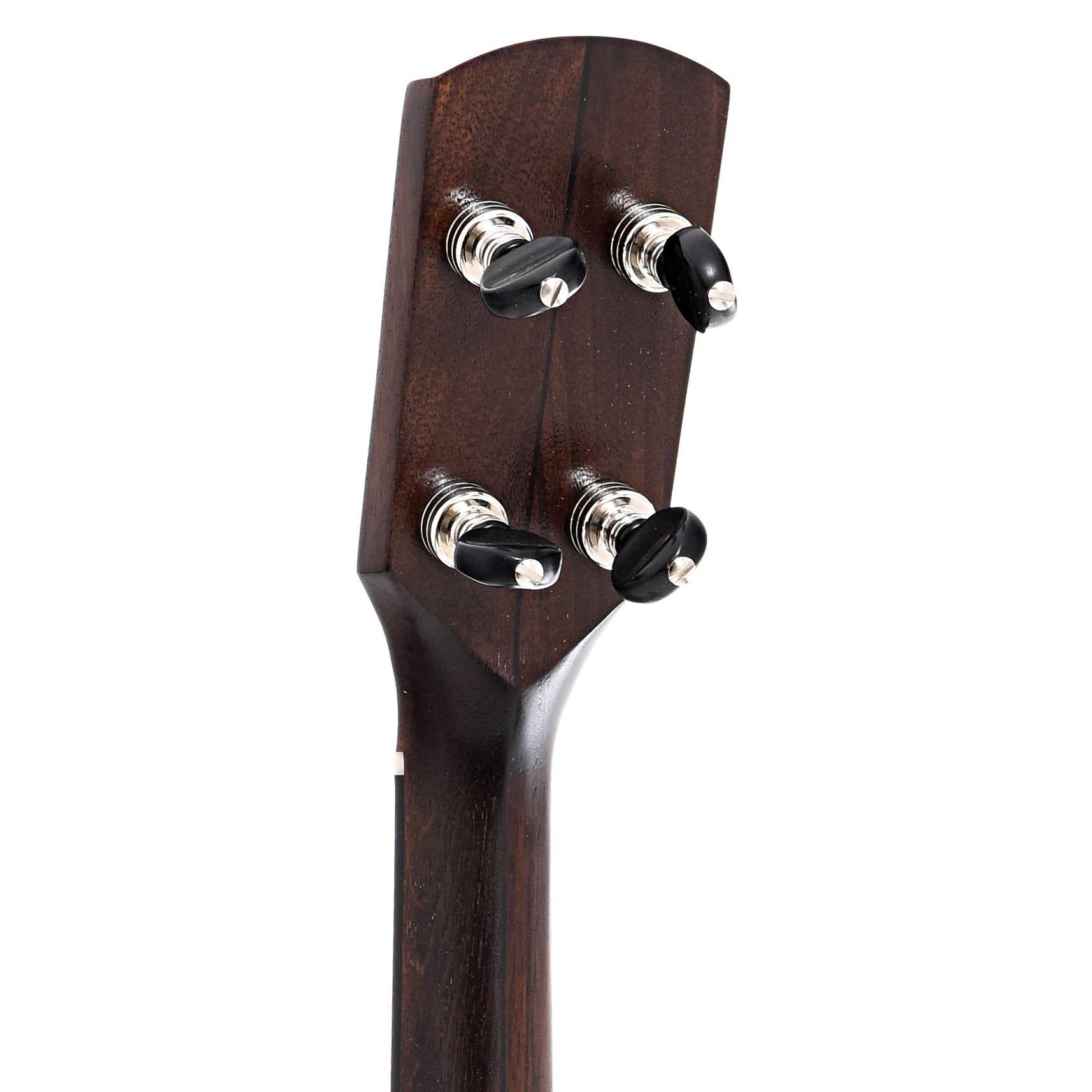 Back headstock of Pisgah Banjo Co. 12" Woodchuck Openback Banjo