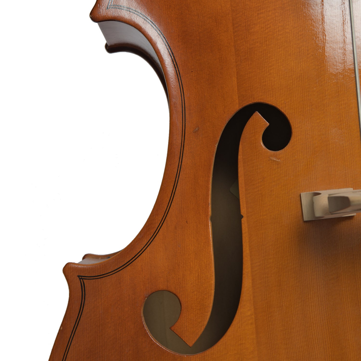 front waist and F-hole of Englehardt M-1 3/4 Upright Bass