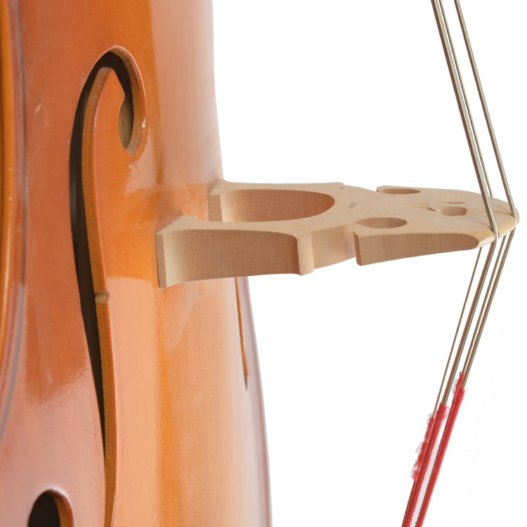 Bridge view from side of Englehardt M-1 3/4 Upright Bass