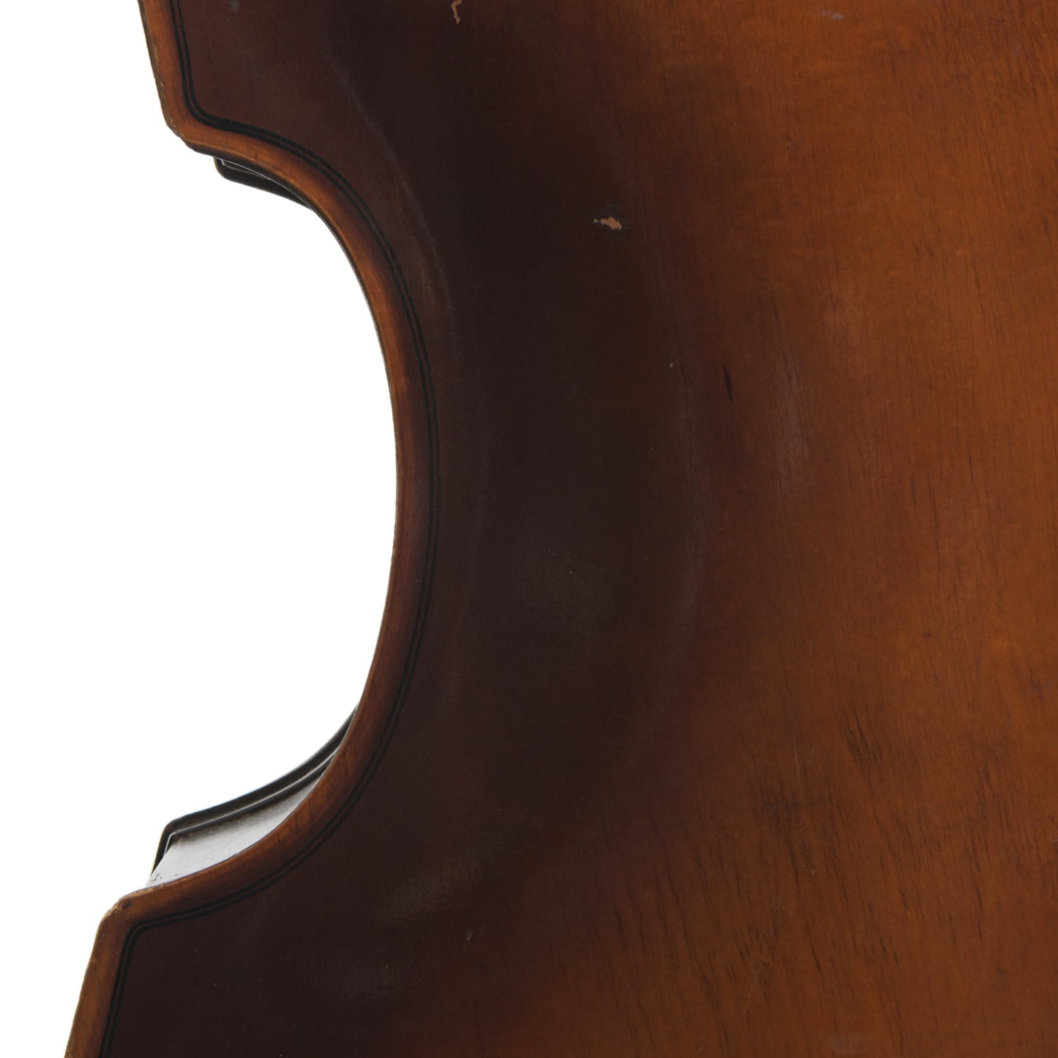 Back mid section of 1959 Kay C-1 Upright Bass 