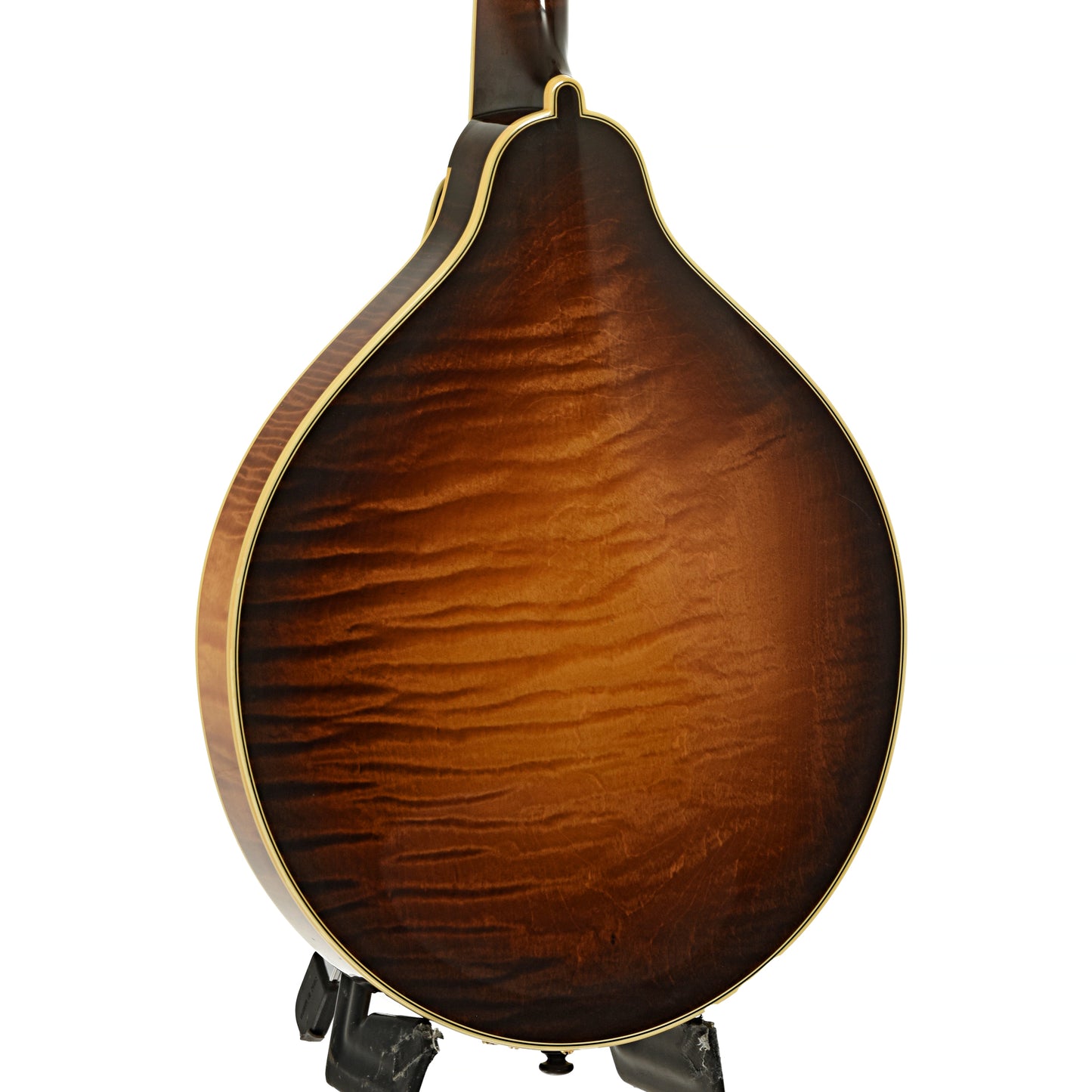 Back and side of Ellis A-5 Special Mandolin 