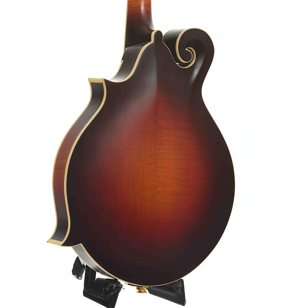 Back & Side of Gold Tone Mastertone GM-80 F-Style Mandolin