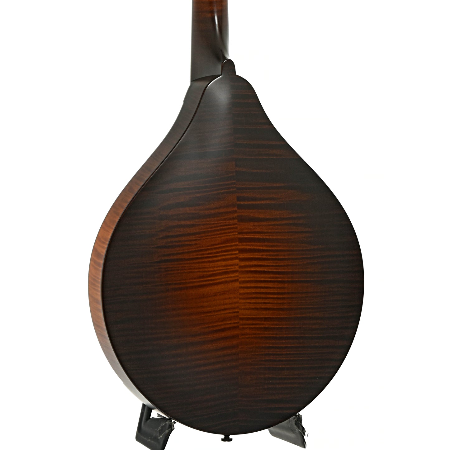 Back and side of Collings MT Mandola