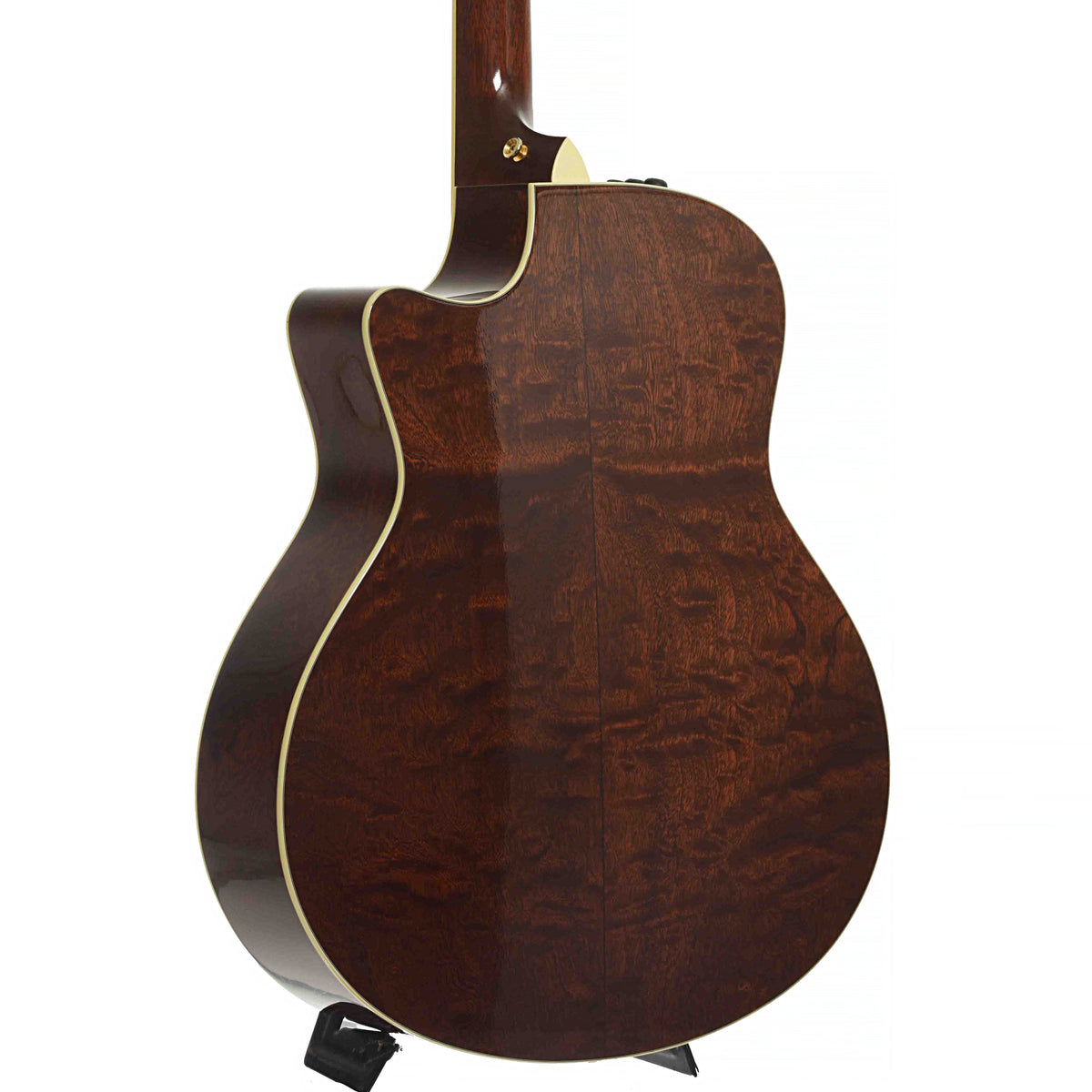 Back and side of Taylor GSce-FLTD
