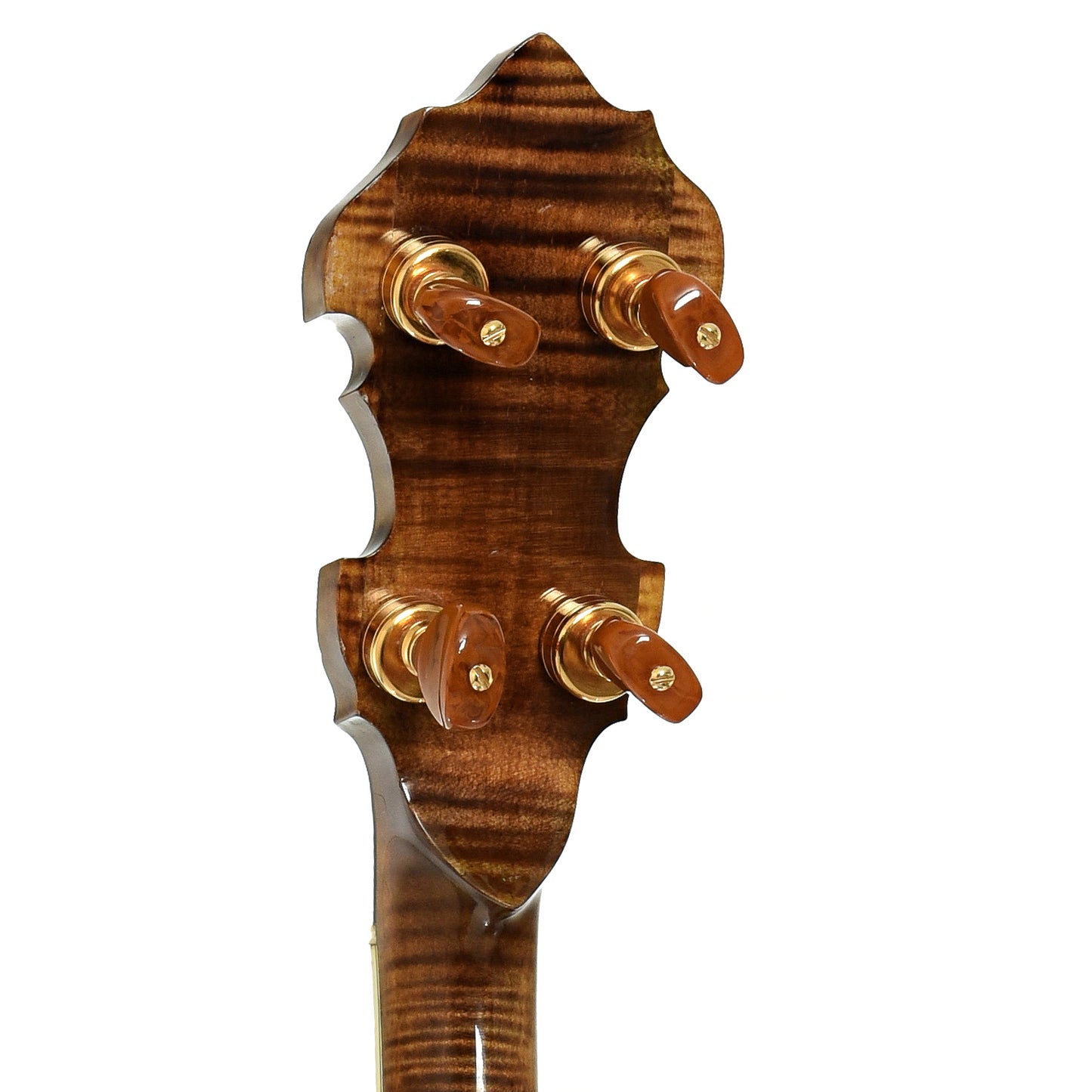 Tuners of Grundy Flintriver "Blue Heeler" Resonator Banjo 