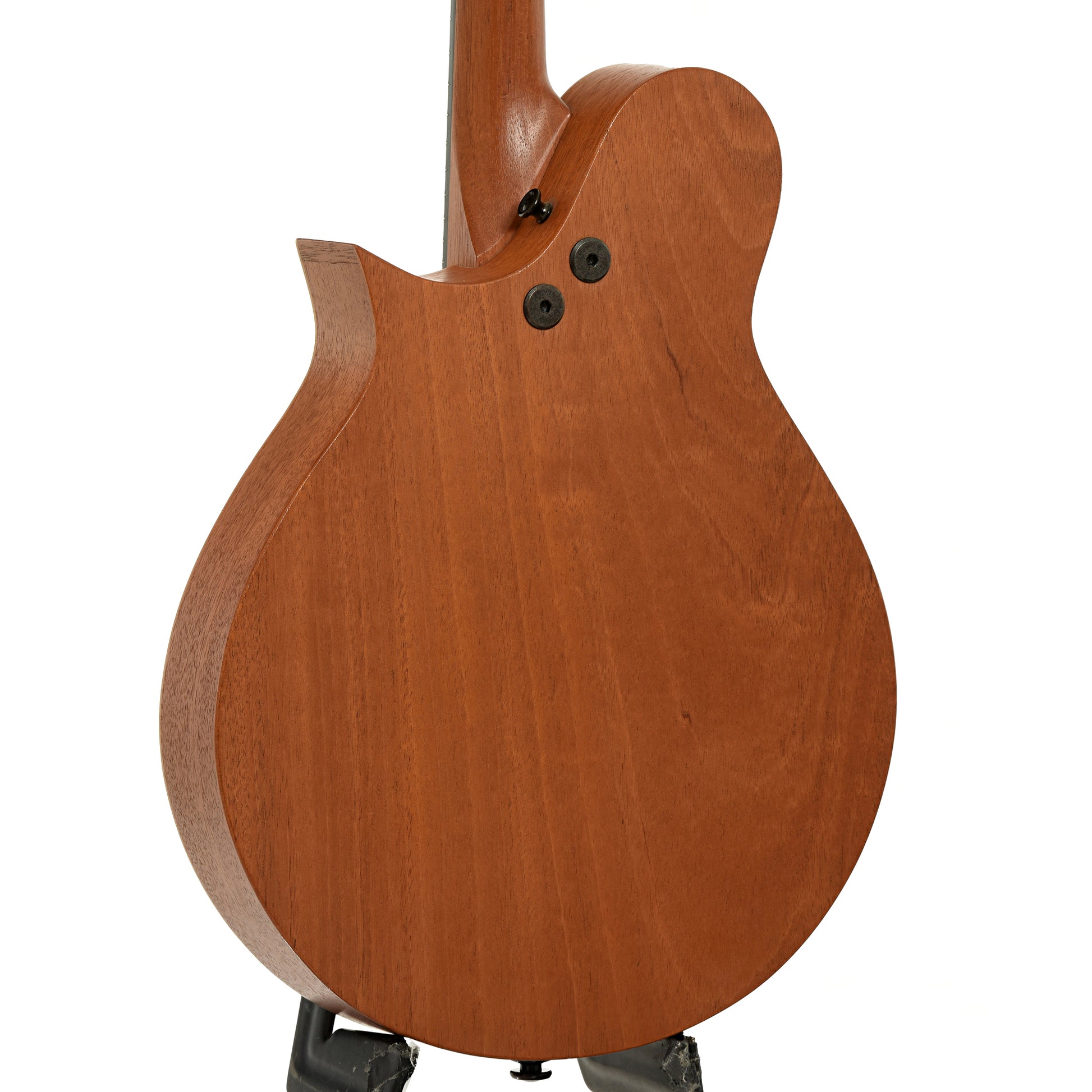 Back and side of Tacoma M-1 Mandolin of Tacoma M-1 Mandolin