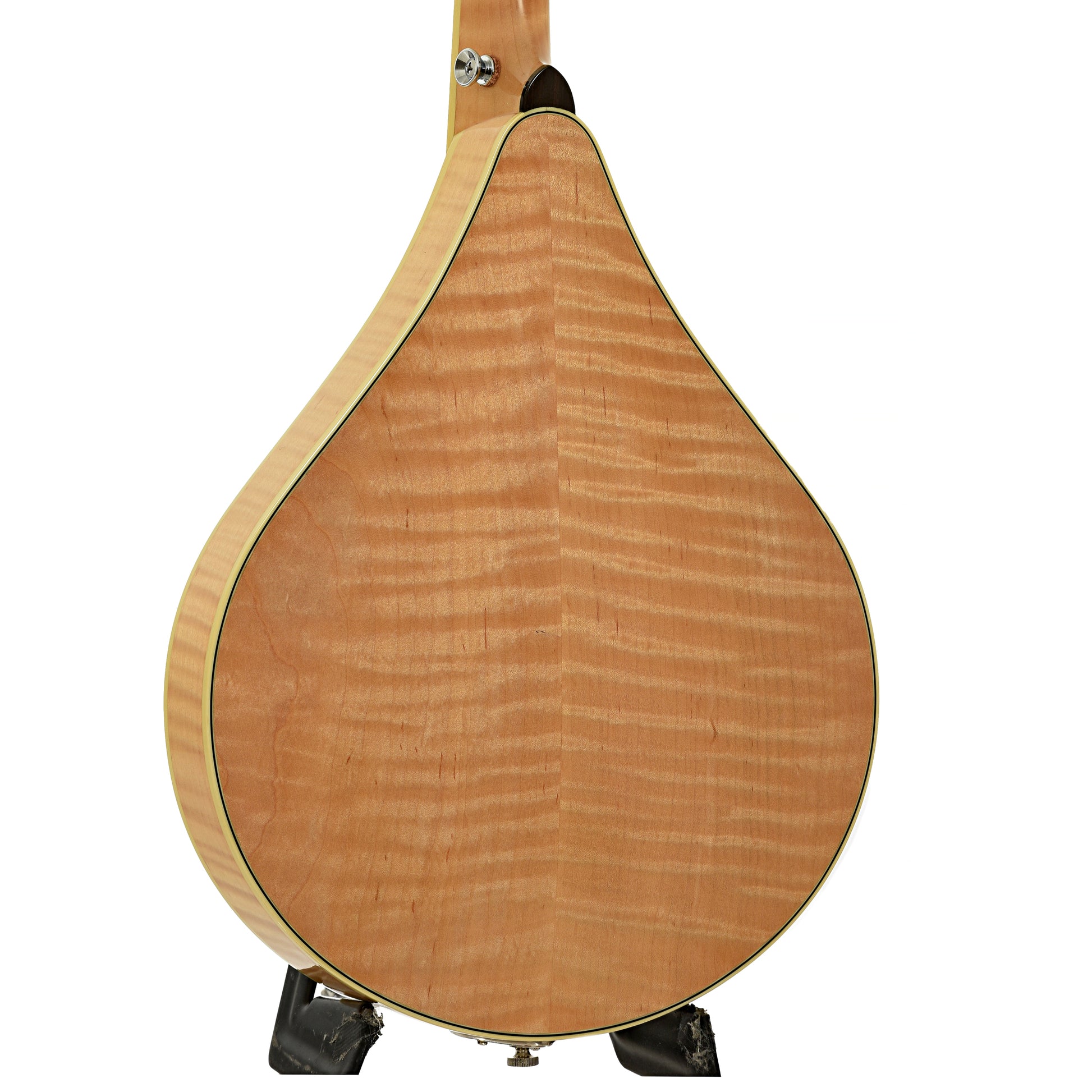 Back and side of Weber Bridger A-Style Mandolin 