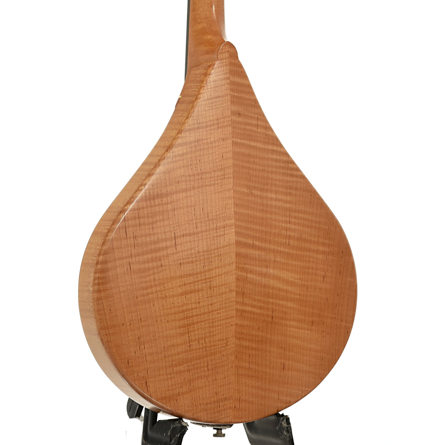 Back and side of Weber Hyalite Mandolin 