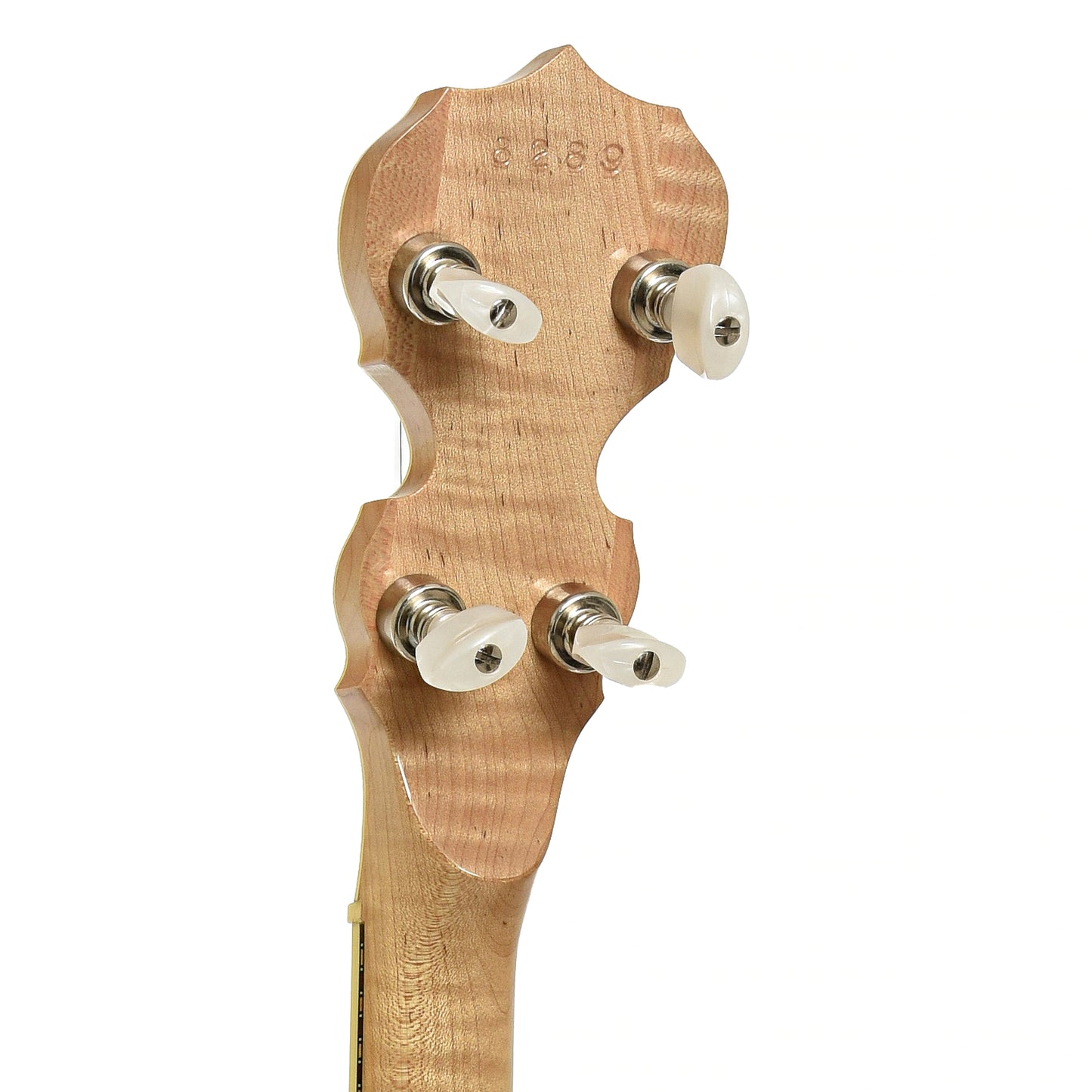 Tuners of Deering Calico Resonator Banjo