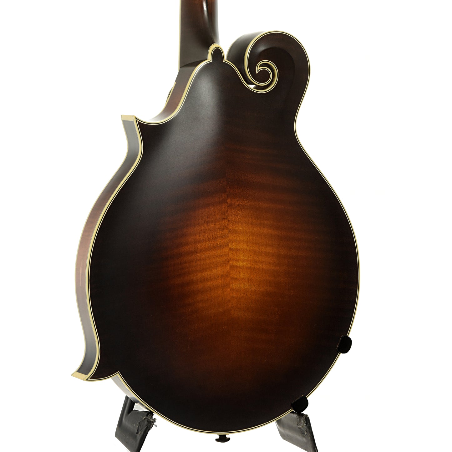 Back and side of Nugget F Mandolin 