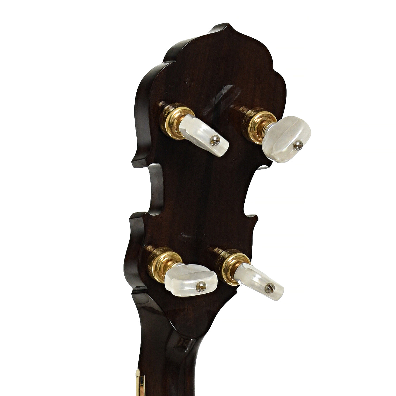 Tuners of Frank Neat Stanleytone Hills of Home Resonator Banjo