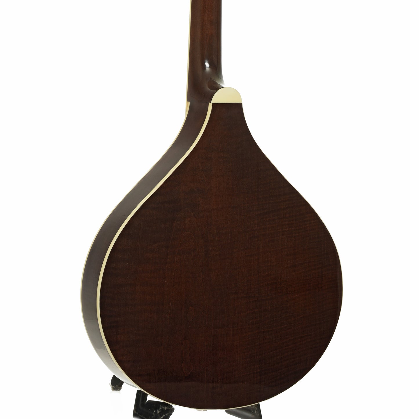 Back and side of Gold Tone Banjola+ S