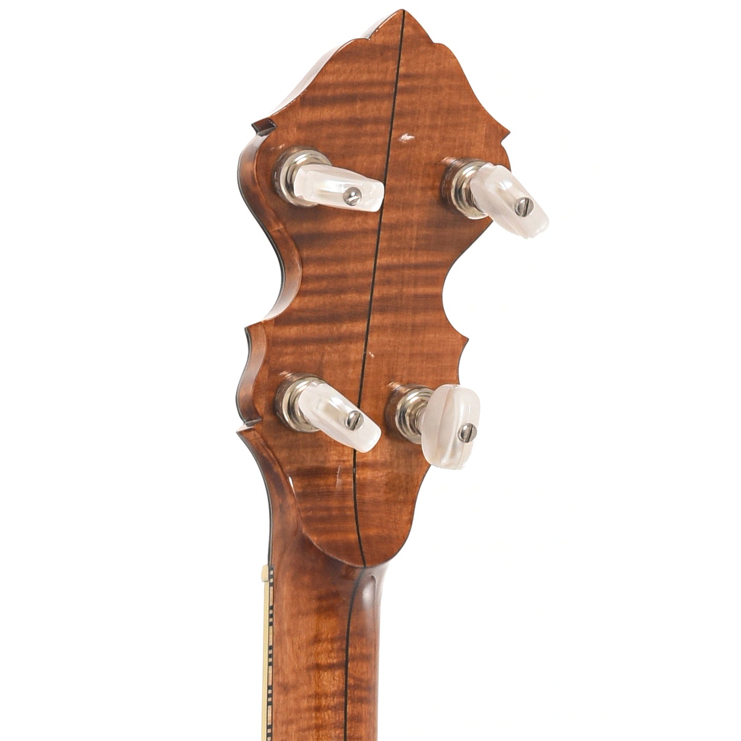 Back headstock of Wildwood Heirloom Resonator Banjo
