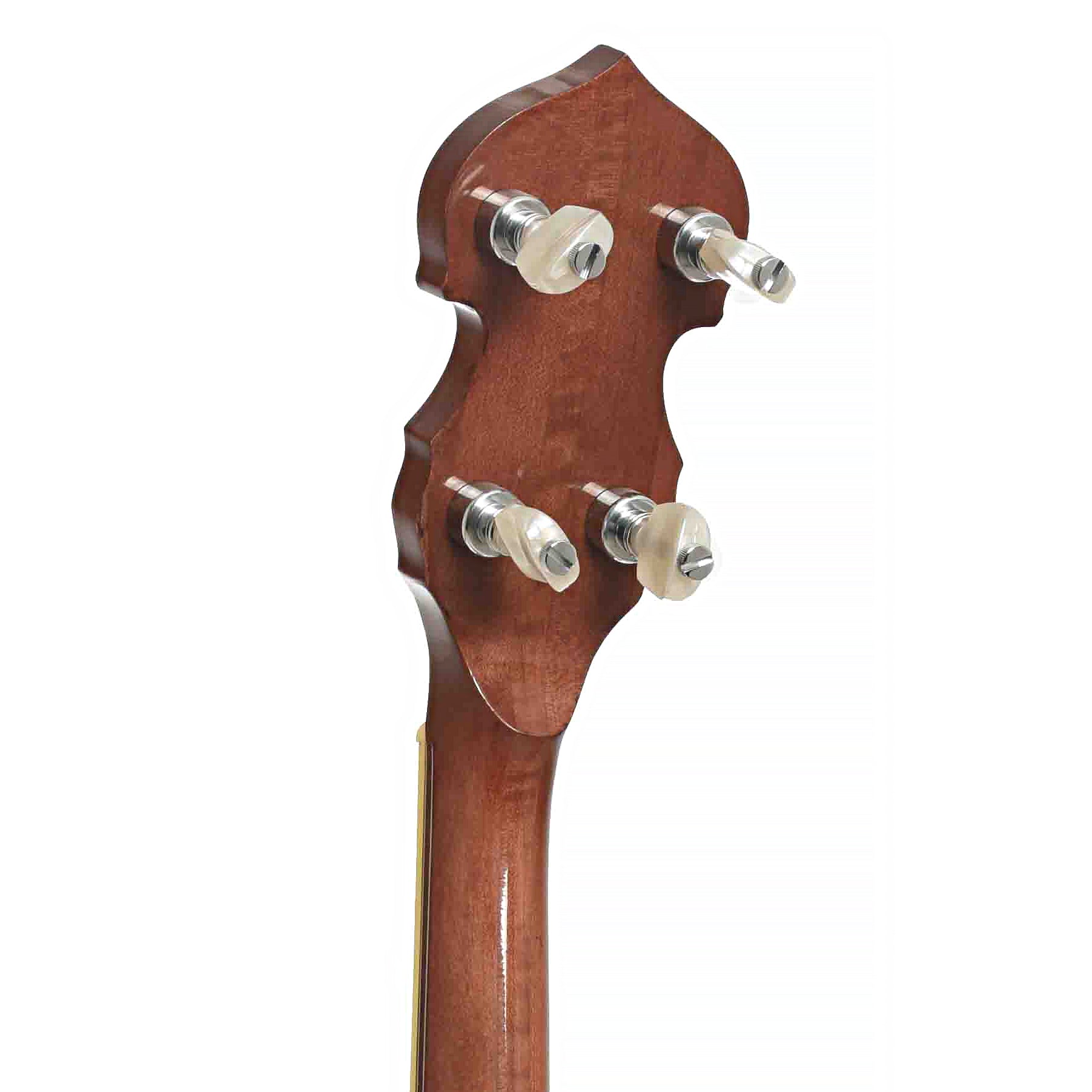 Tuners of Washburn B-16