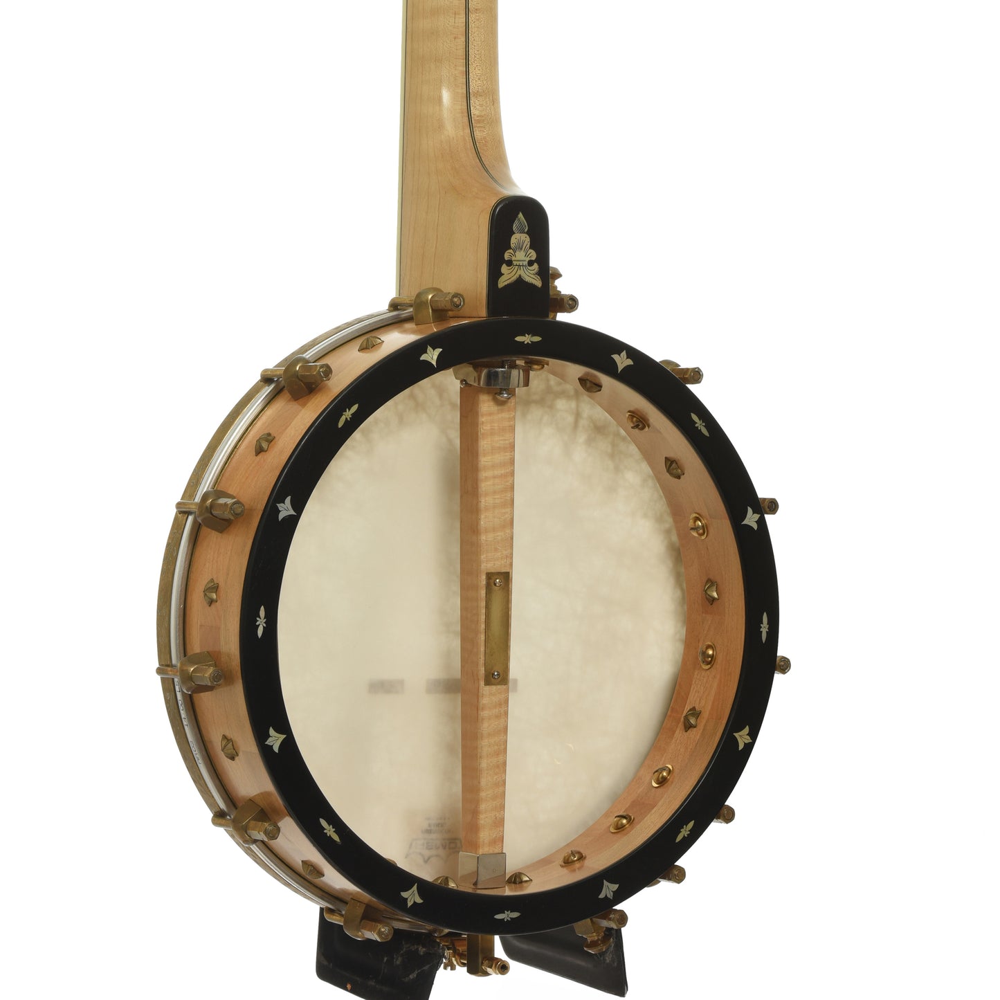 Back and side of Cloverlick Custom Piney Woods Openback Banjo