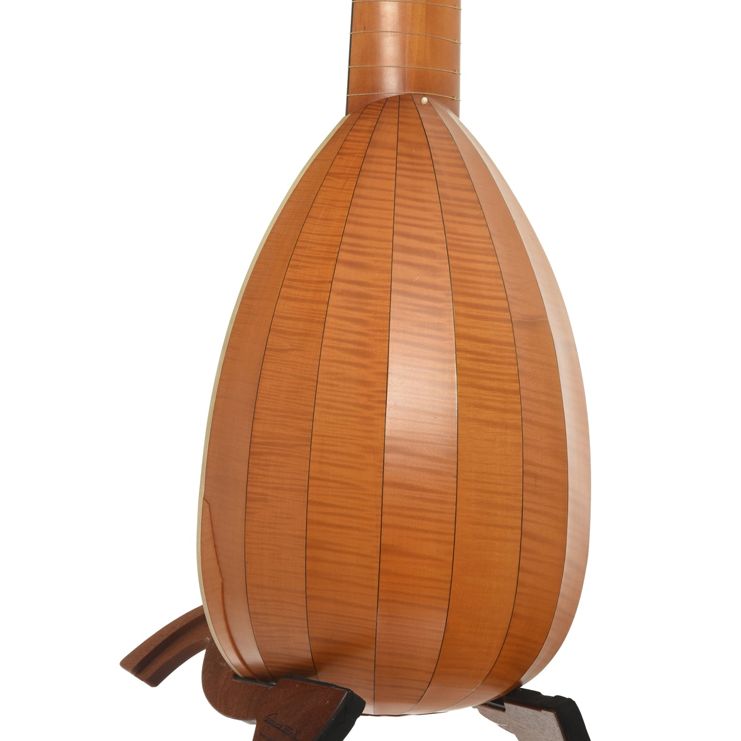 bACK AND SIDE OF James P. North 20-String Lute 