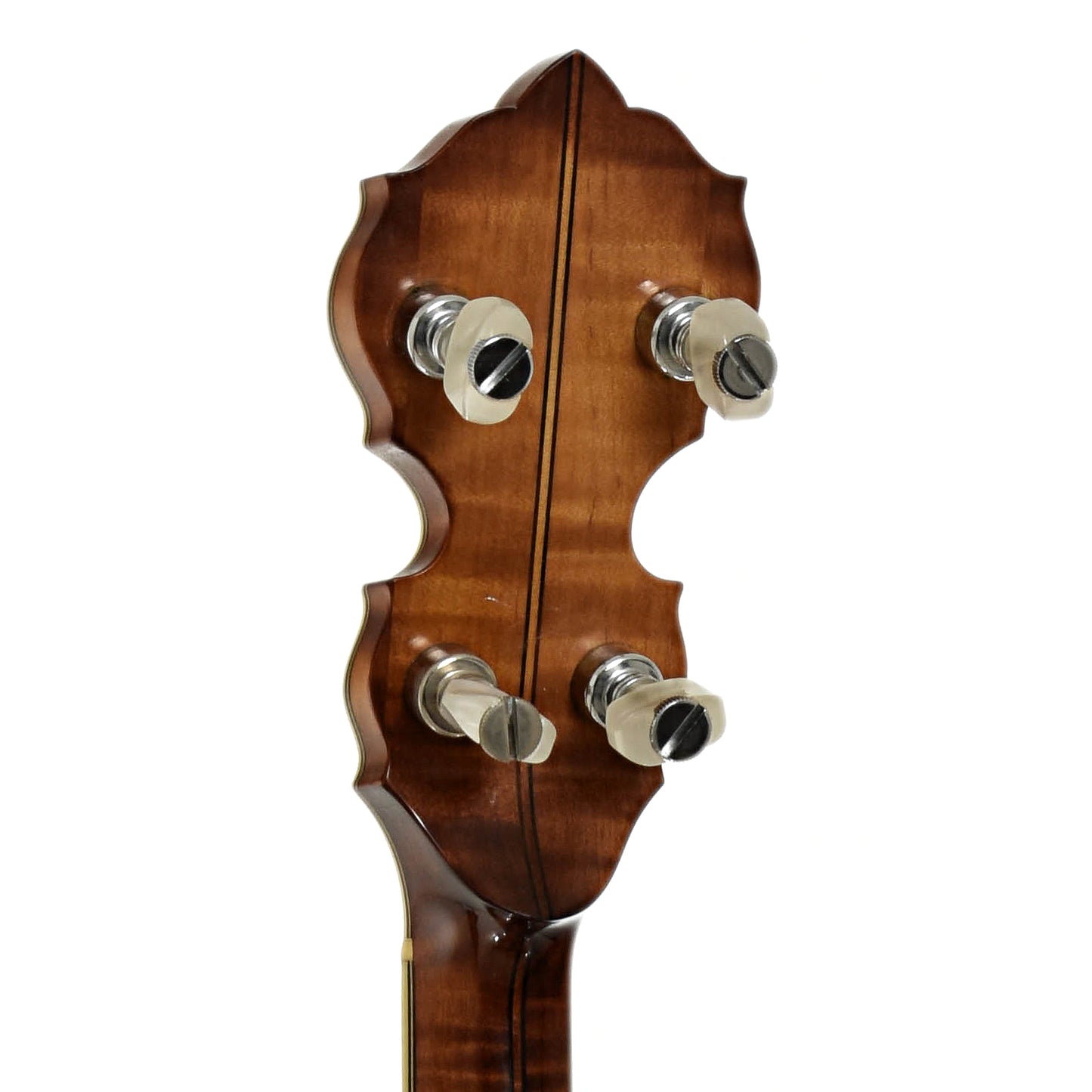 Tuners of Ome Juggernaut Resonator Banjo