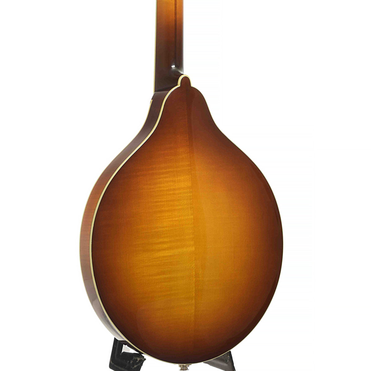 Back and side of MDO-605 Octave Mandolin