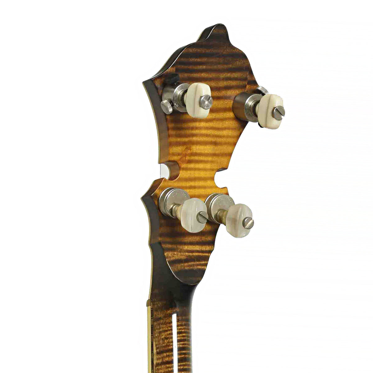 Stelling Golden Cross Resonator Banjo (1997)