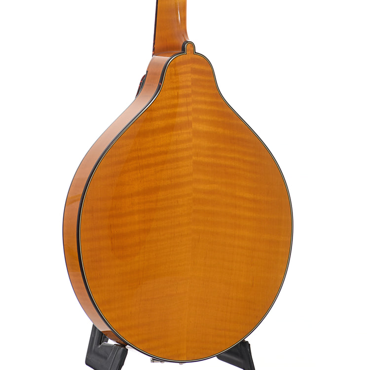 Back and side of Pava A5 Pro Model Mandolin, Honey Amber