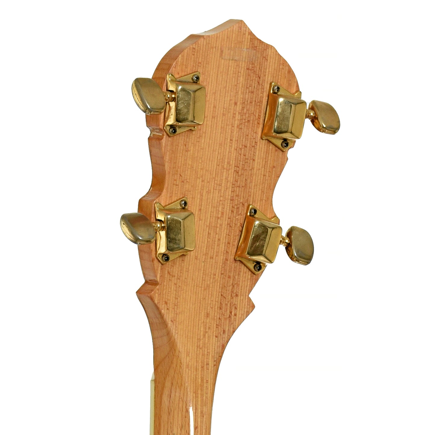 Tuners of Kay Eagle Resonator Banjo