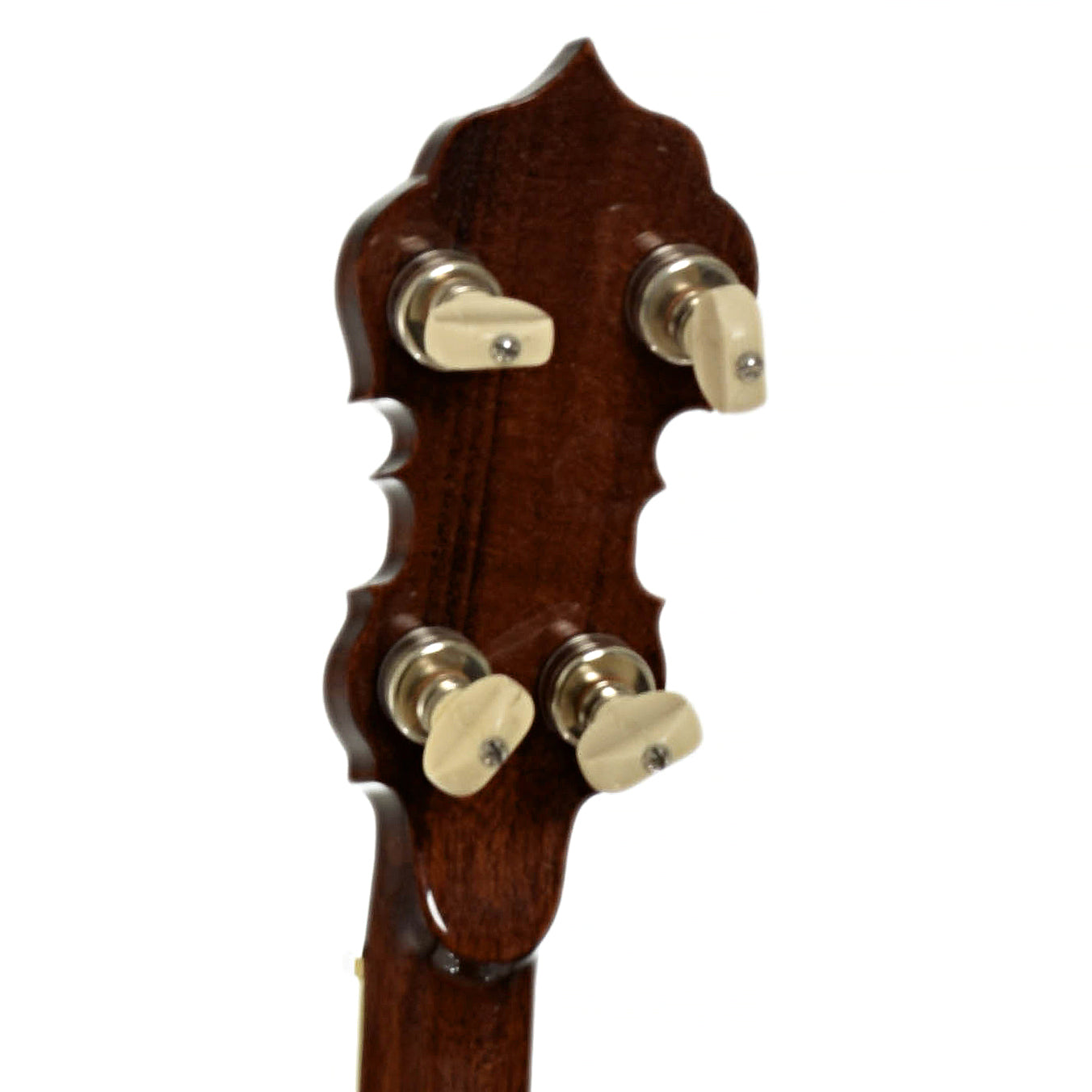 Tuners of DP Hopkins Janice Martin Resonator Banjo