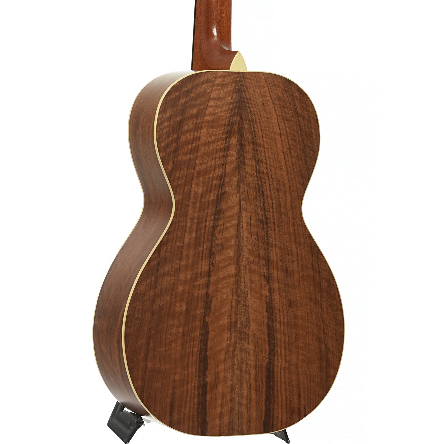 Back and side of Cirrus Walnut C Parlor Acoustic Guitar  