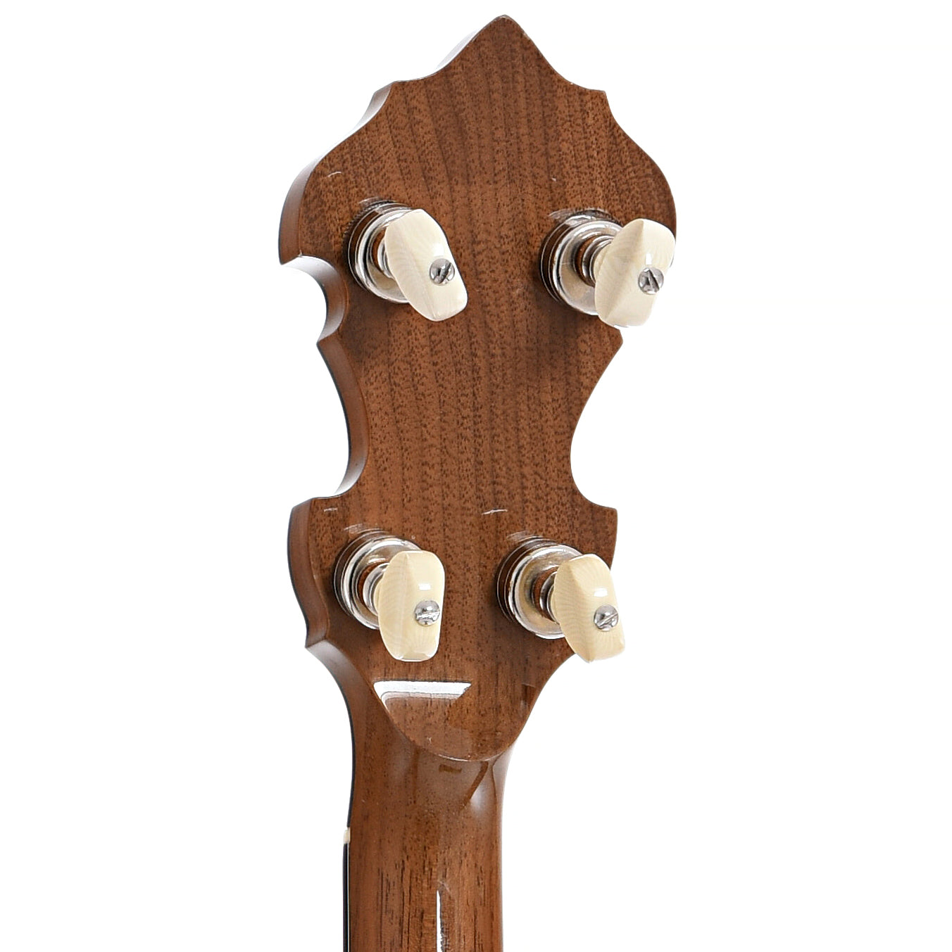 Back headstock of Prucha Walnut Parts banjo (c.2016)