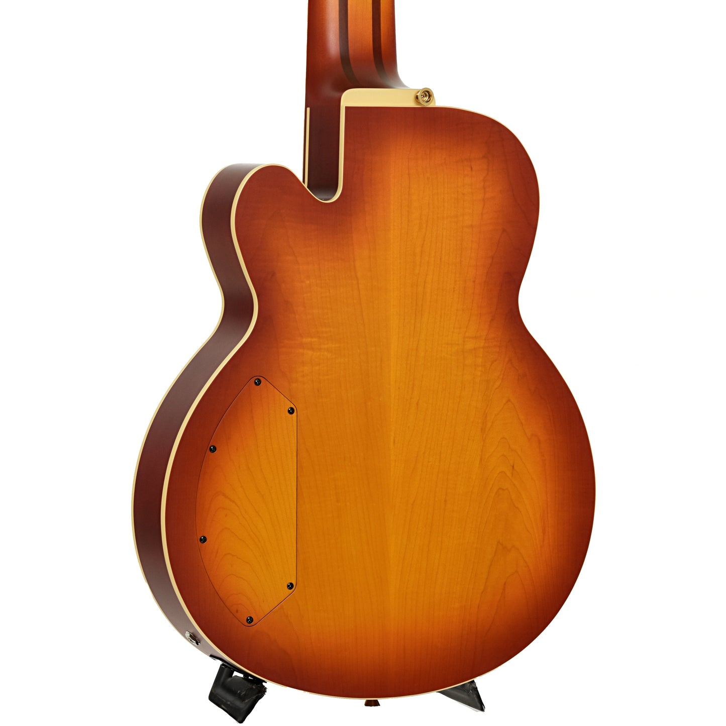 Back and side of Ibanez TCB1006 Stephen "Thundercat" Bruner 6-String Hollowbody Electric Bass (2022)