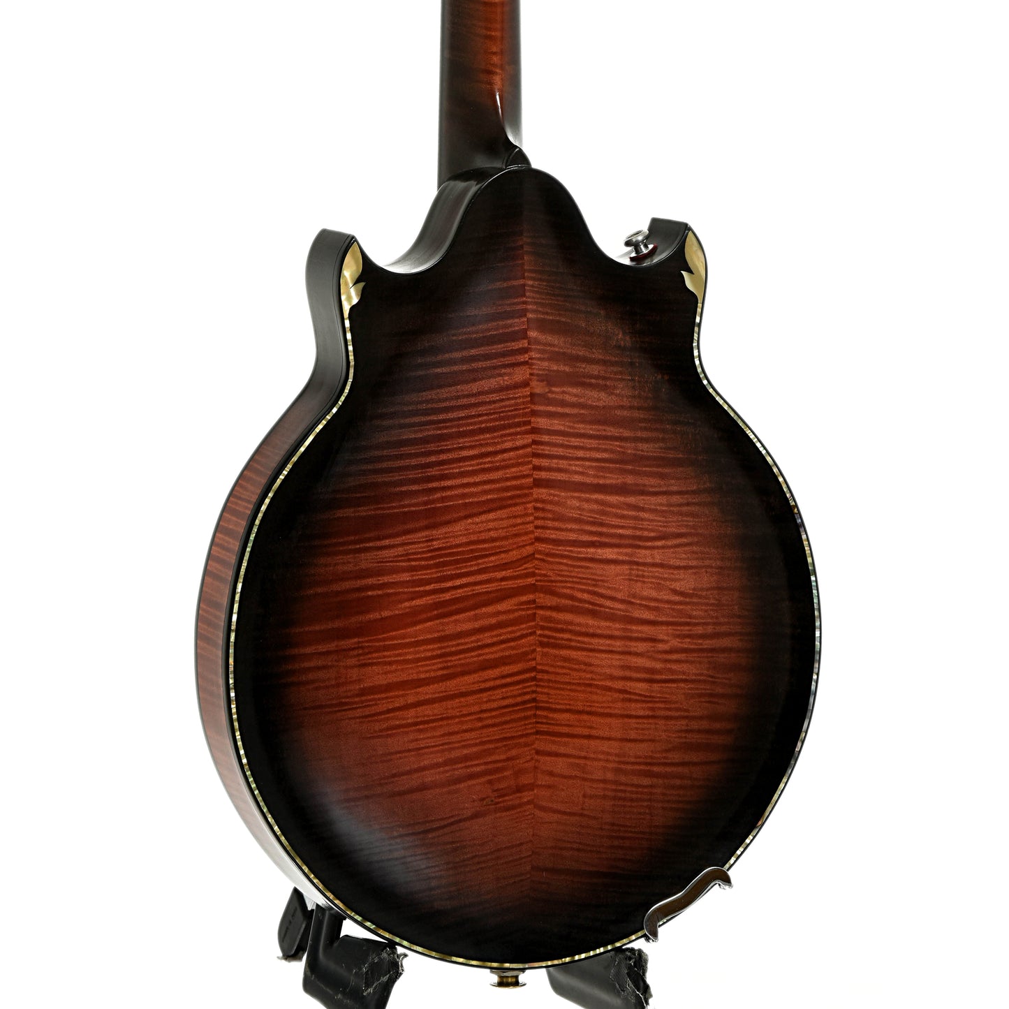 Back and side of Phoenix Ultra Mandolin 