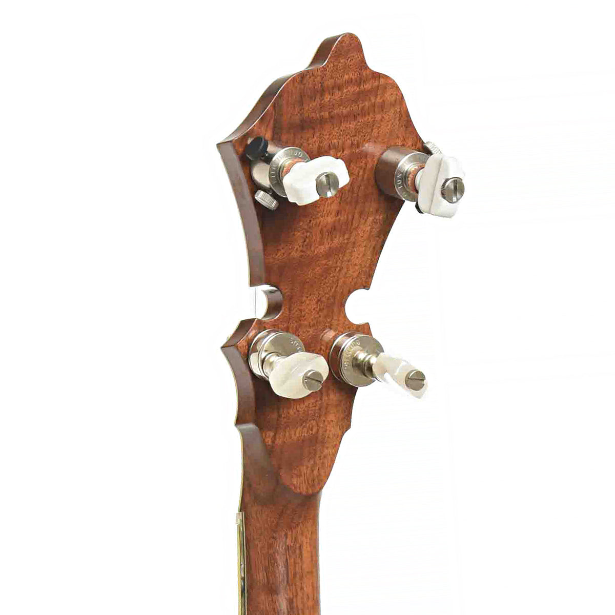 Tuners of Stelling Staghorn Resonator Banjo