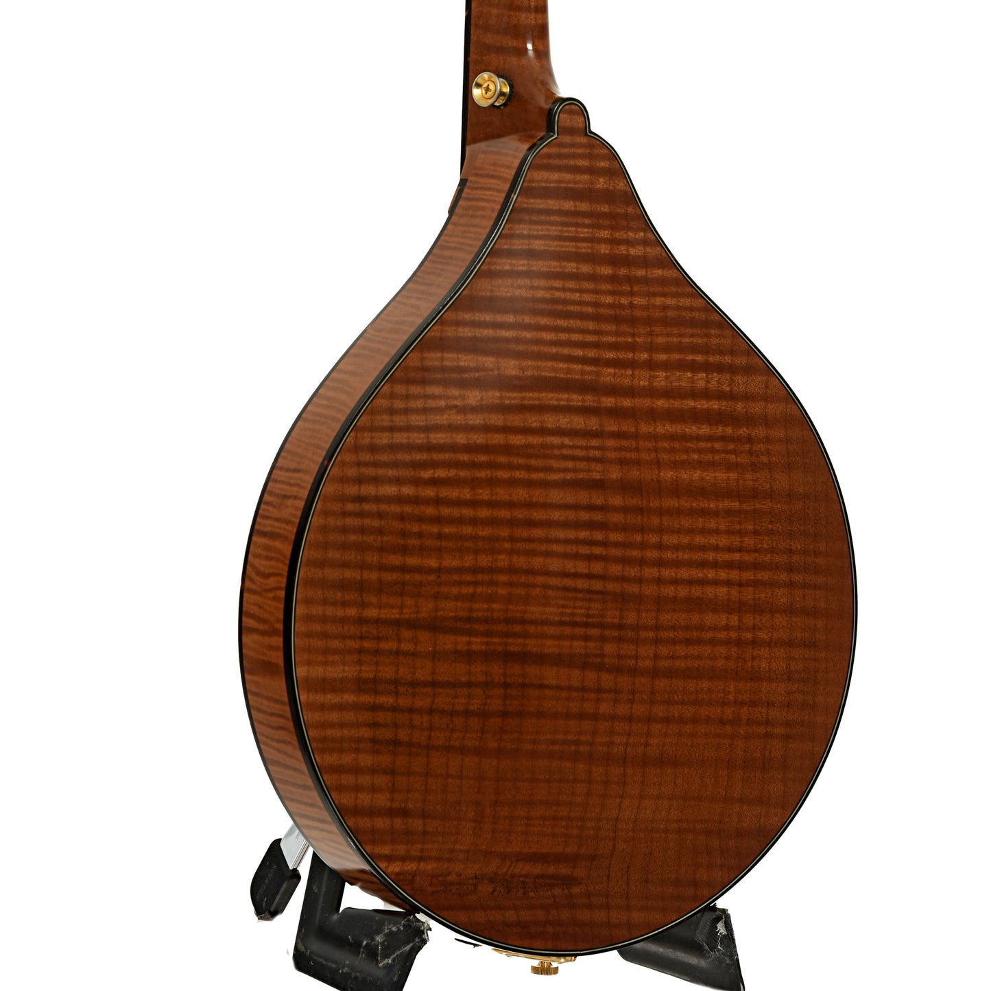 Back and side of Weber Beartooth A Style Mandolin 