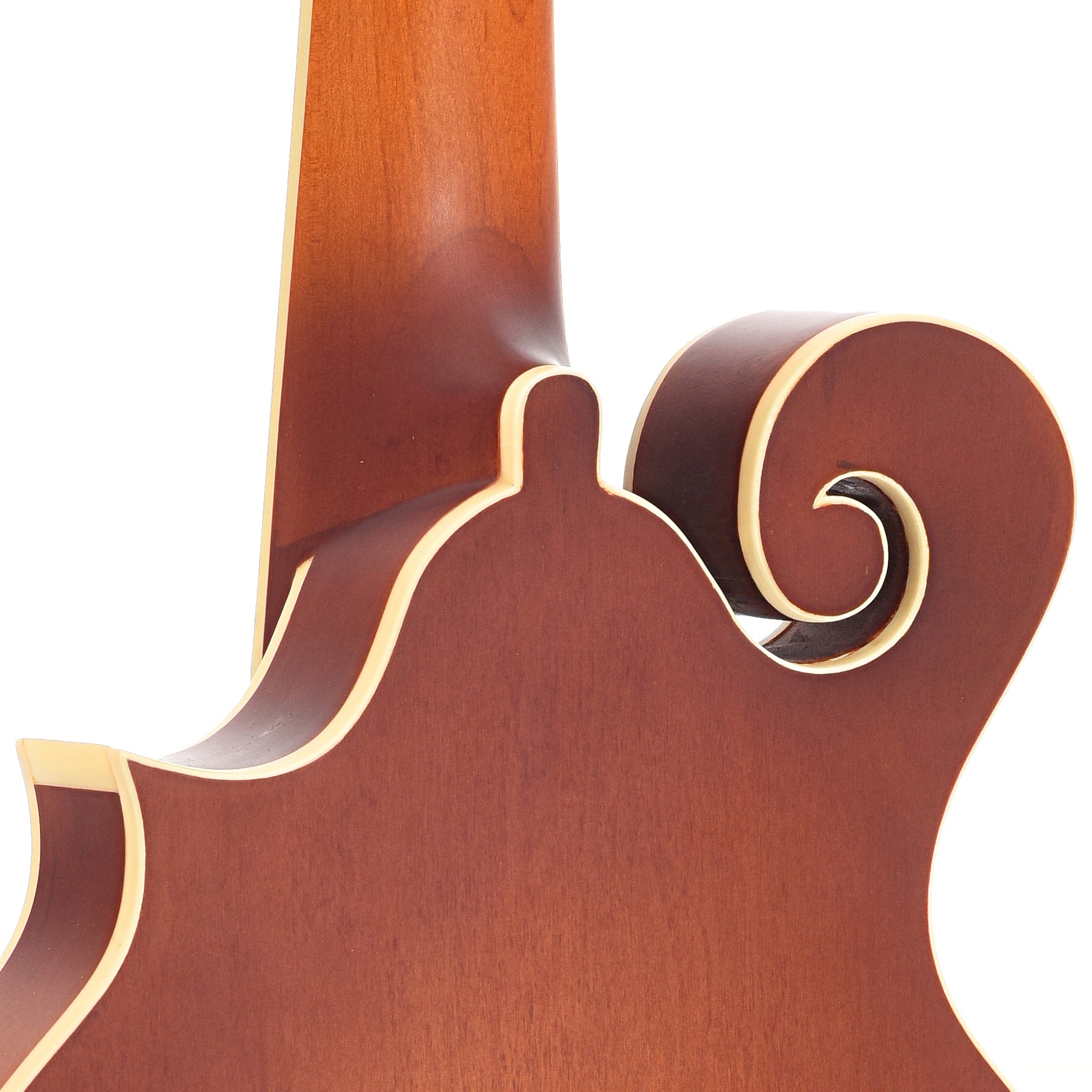 Heel of Gold Tone F-10 10-String Mandolin 