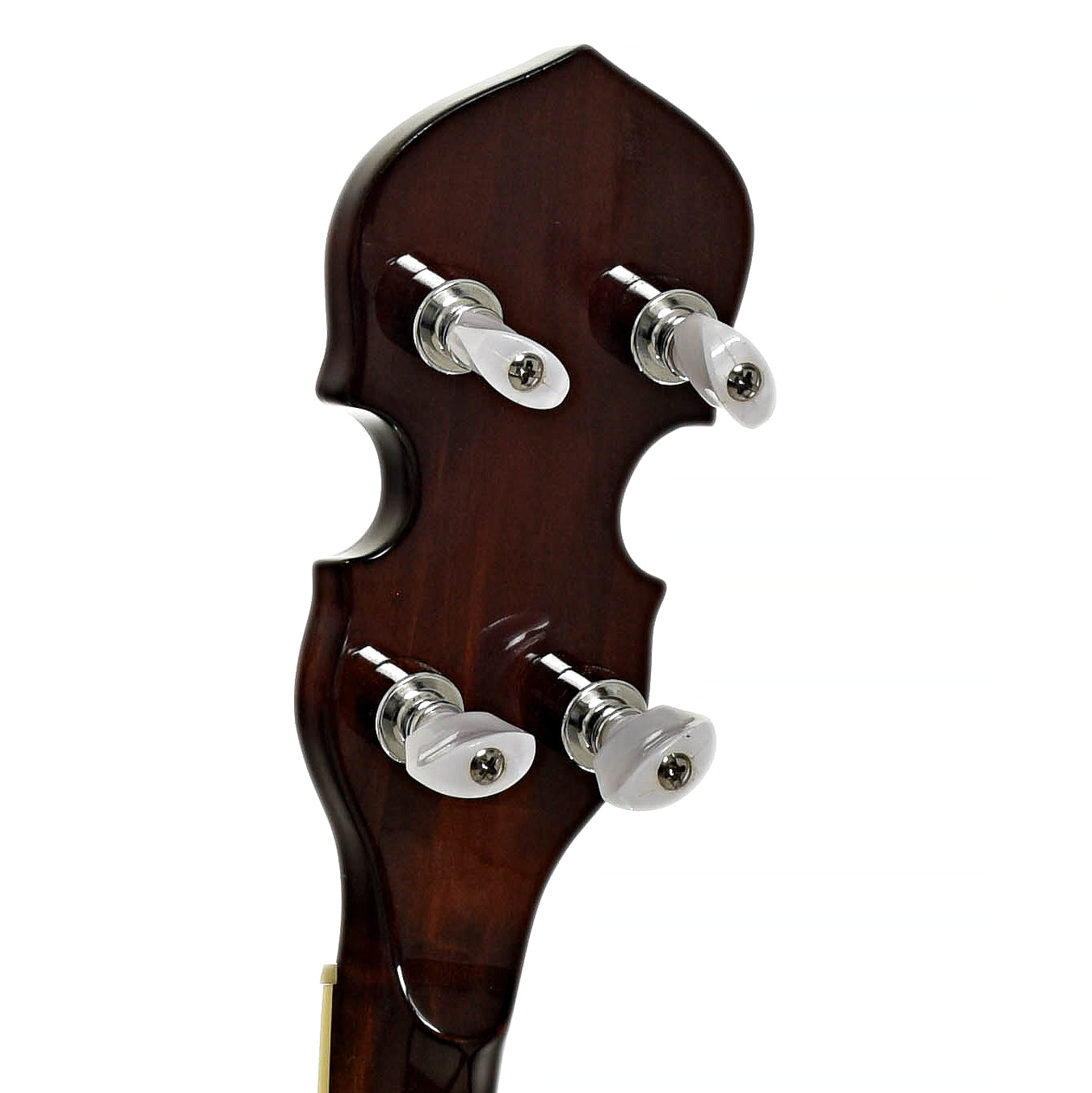 Tuners of Gold Tone BG-250F Orange Blossom Resonator Banjo