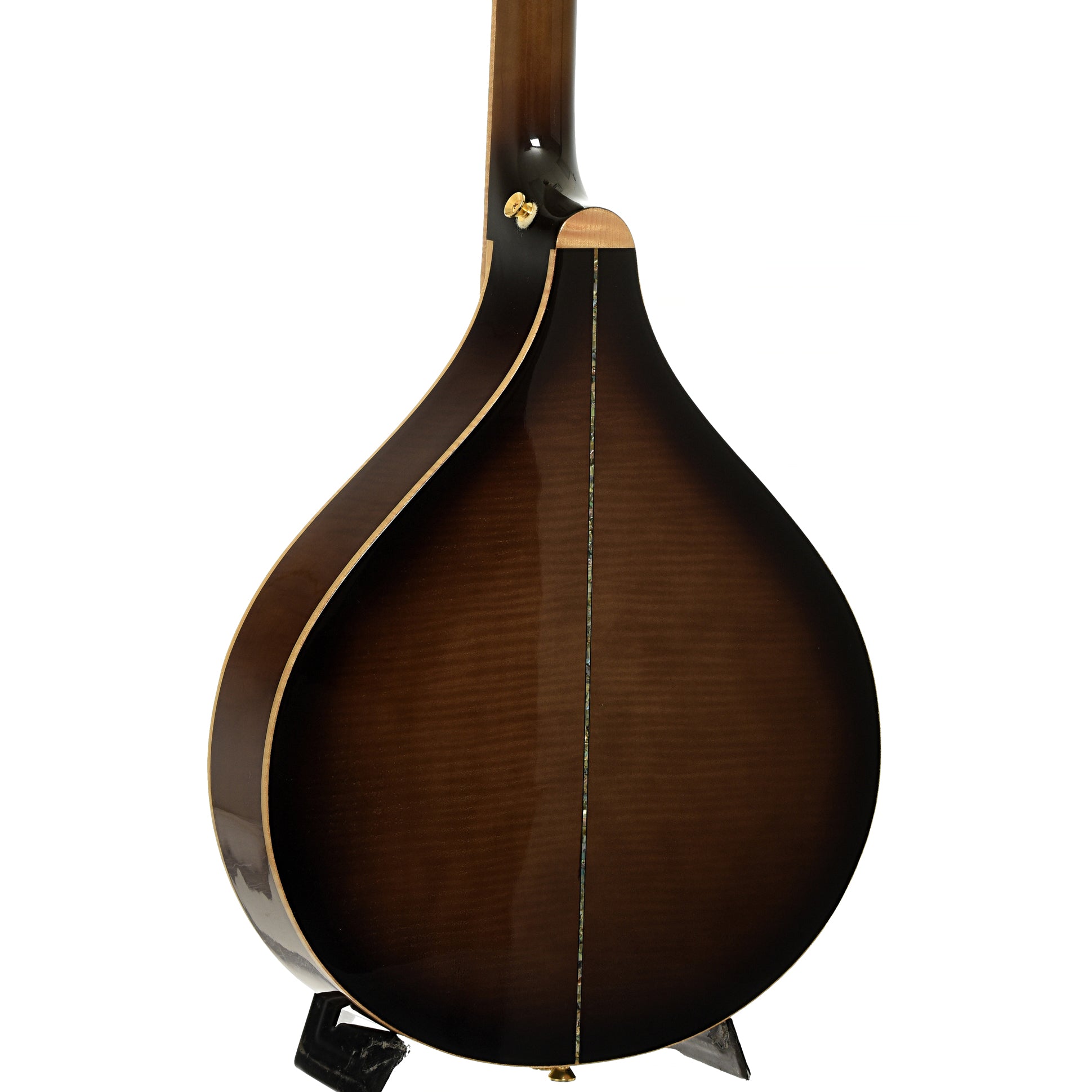 Back and side of  Gold Tone Pat Cloud Banjola 