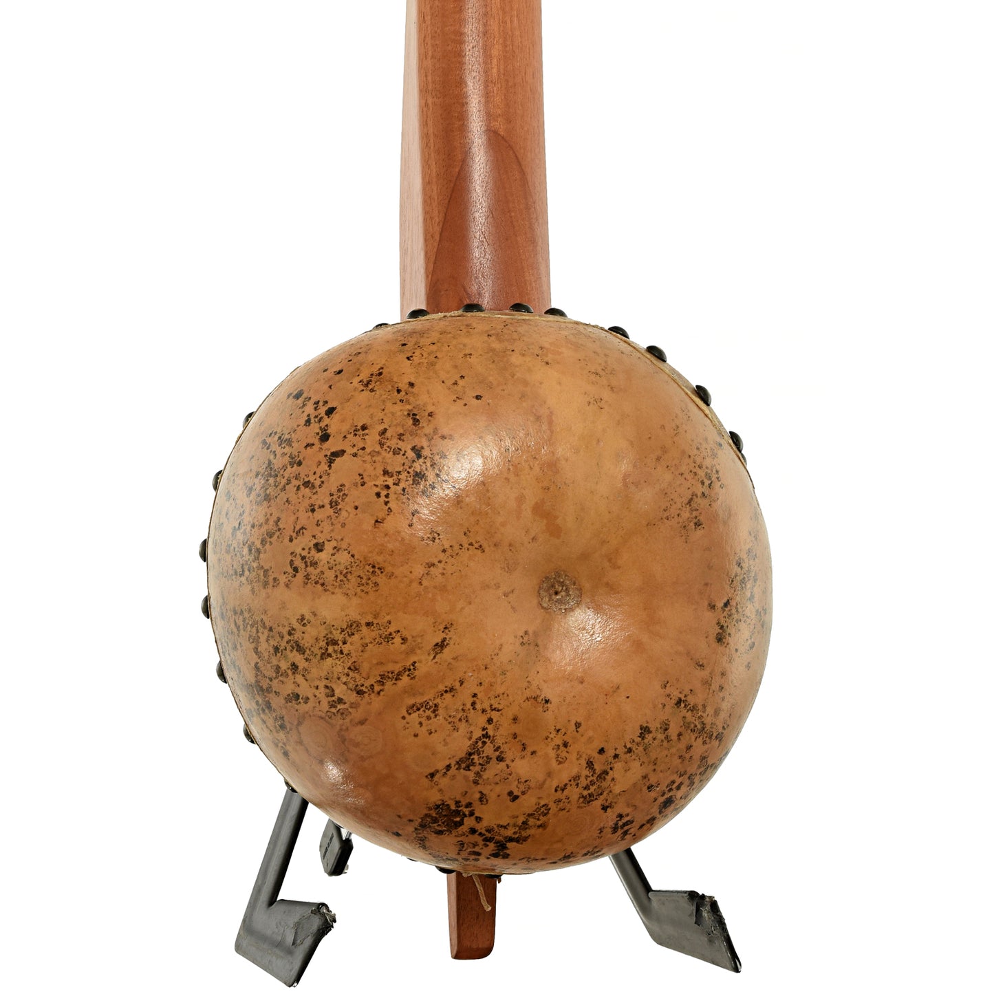 Menzies Fretless Gourd Banjo #601